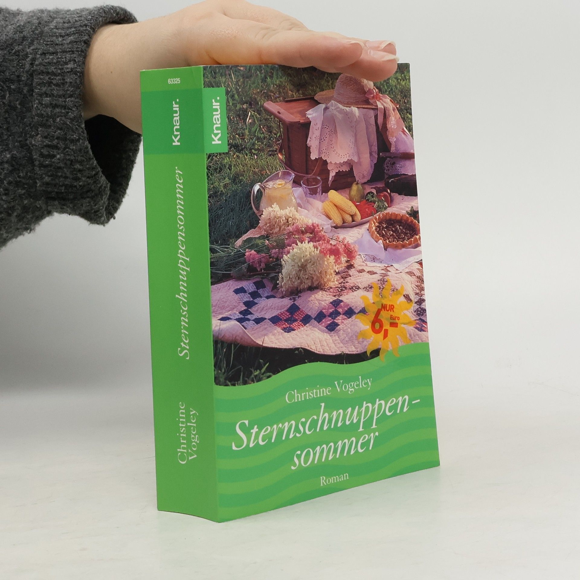 Christine Vogeley Sternschnuppensommer