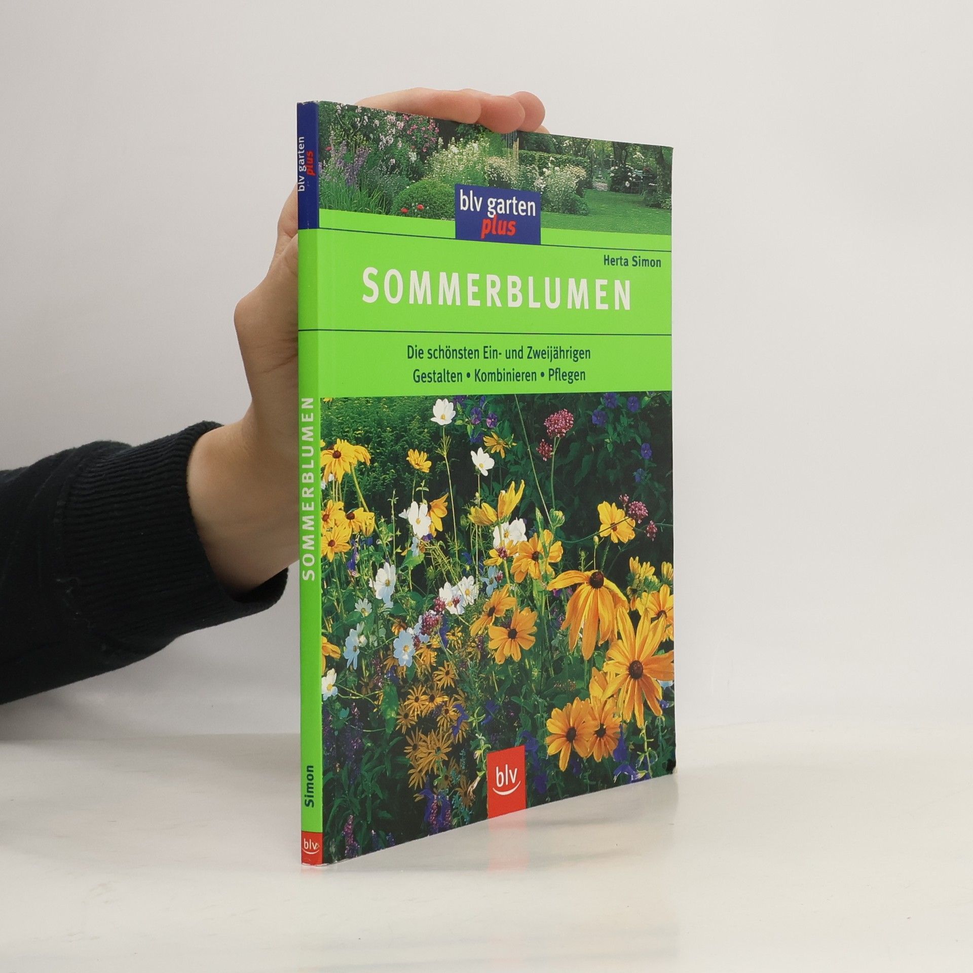 Herta Simon Sommerblumen