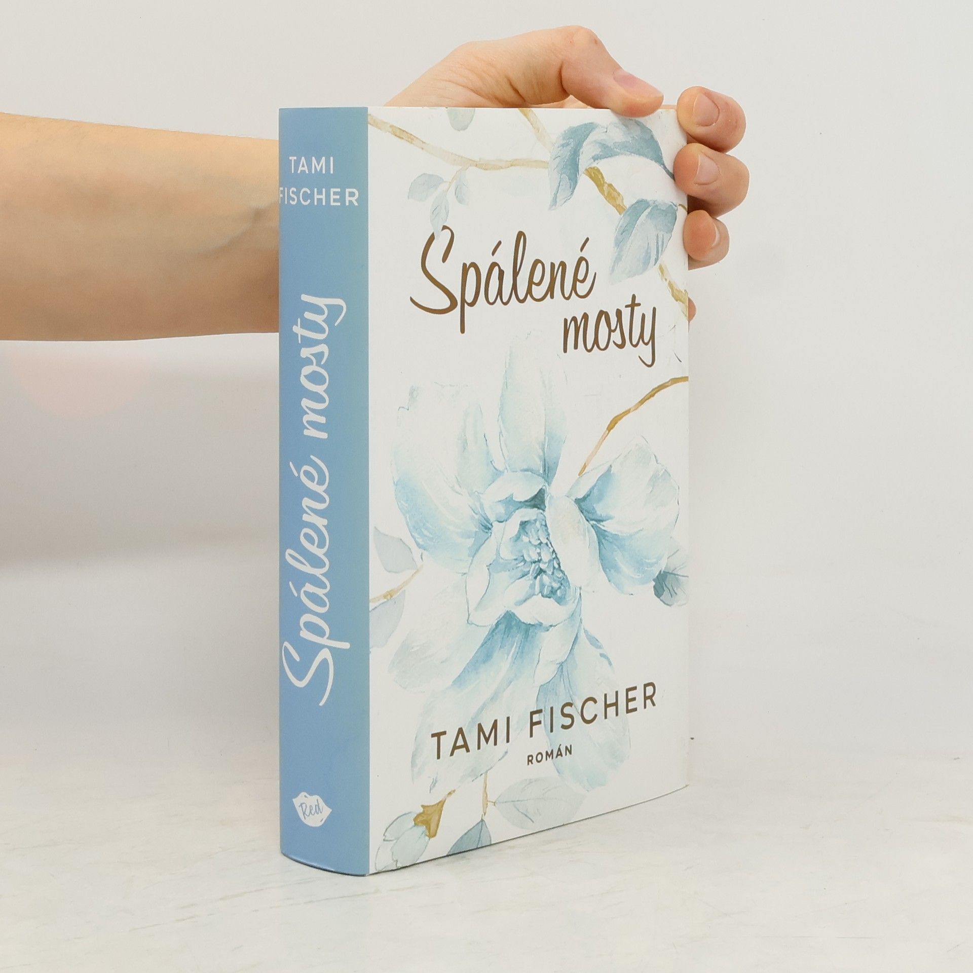 Tami Fischer Spálené mosty