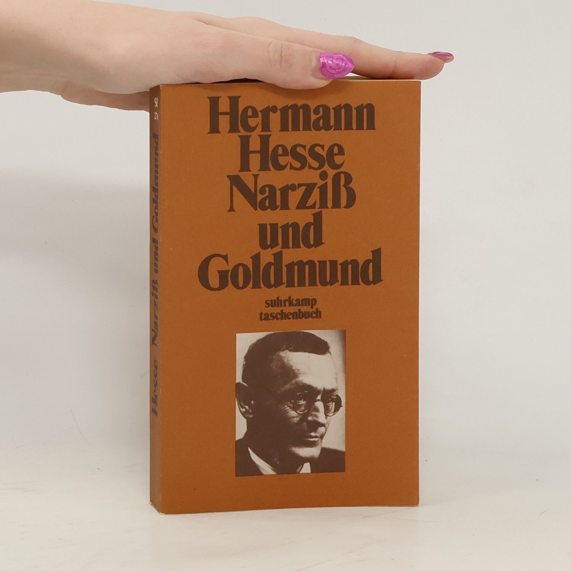 Hermann Hesse Narziß und Goldmund