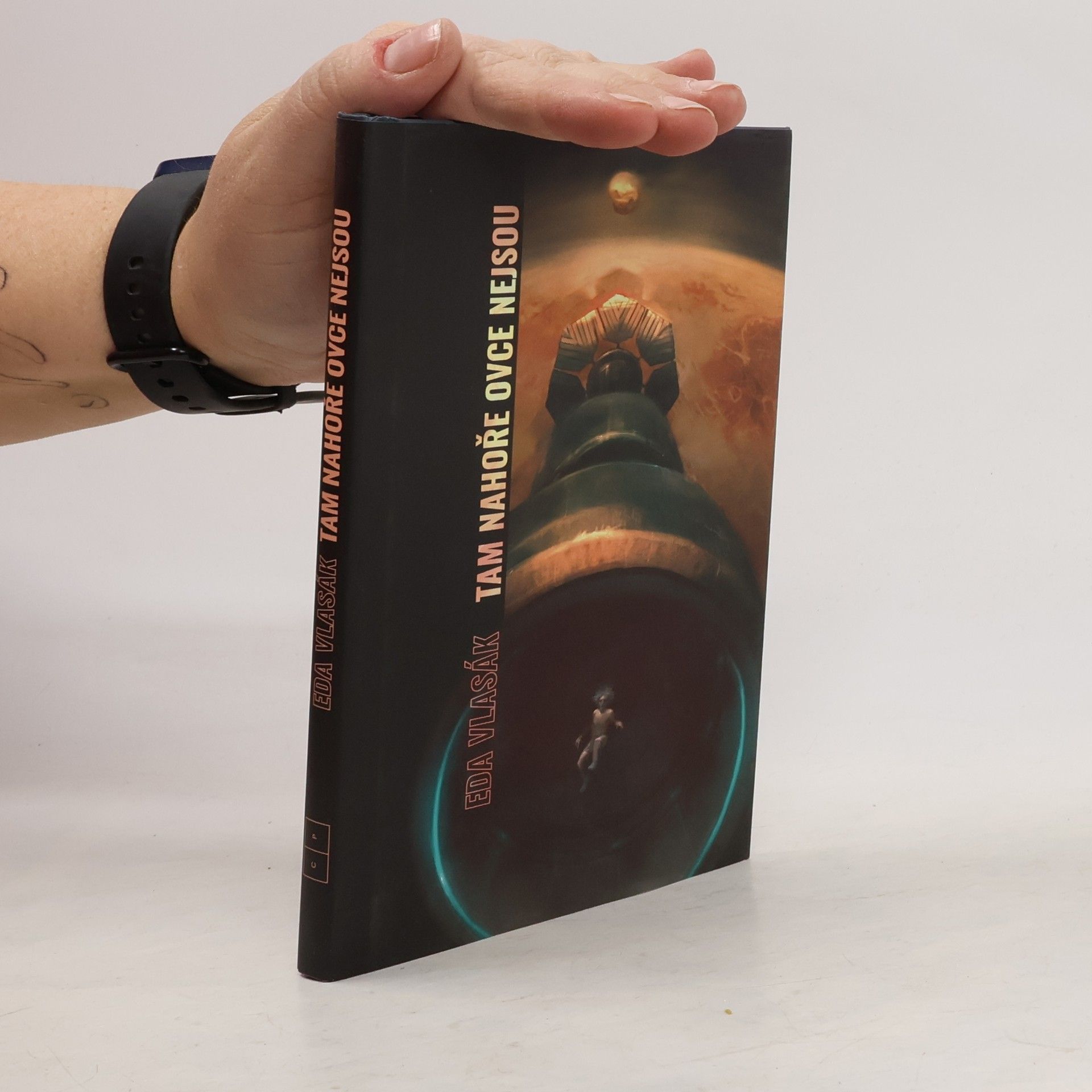 Eda Vlasák Tam nahoře ovce nejsou