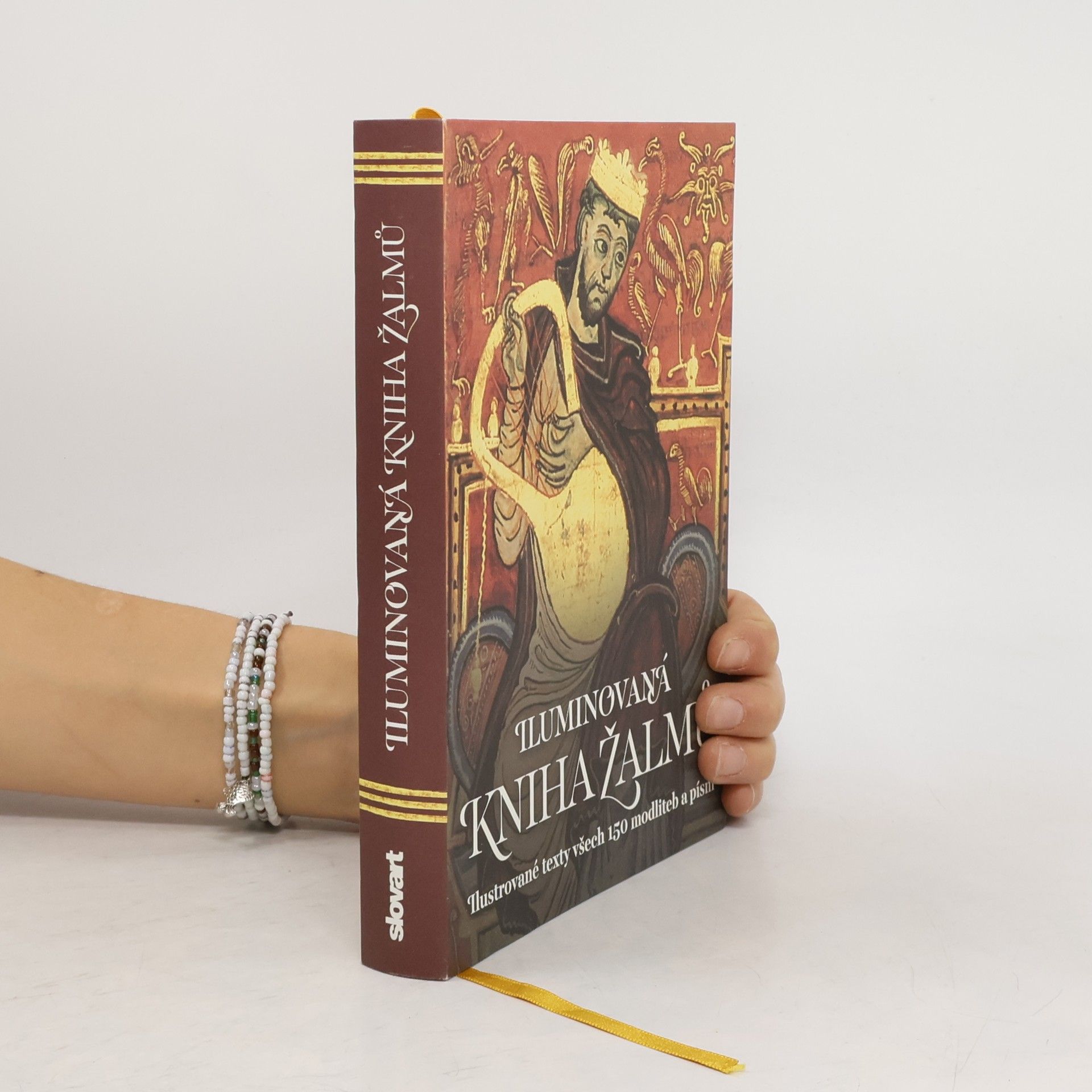 Kolektiv autorů Iluminovaná kniha Žalmů
