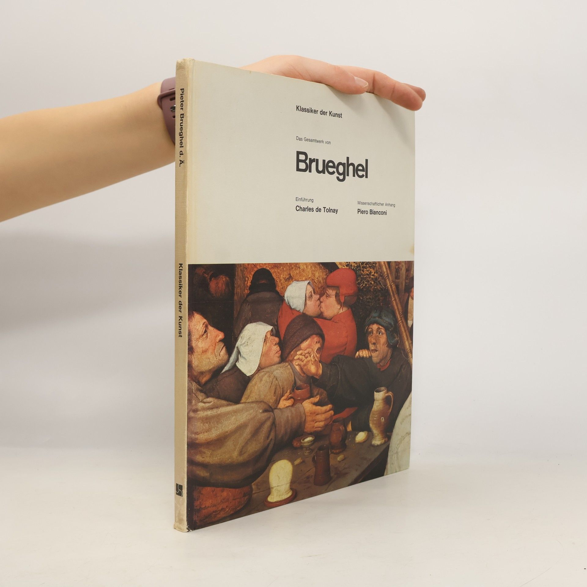 Autorenkollektiv Klassiker der Kunst. Das Gesamtwerk von Brueghel