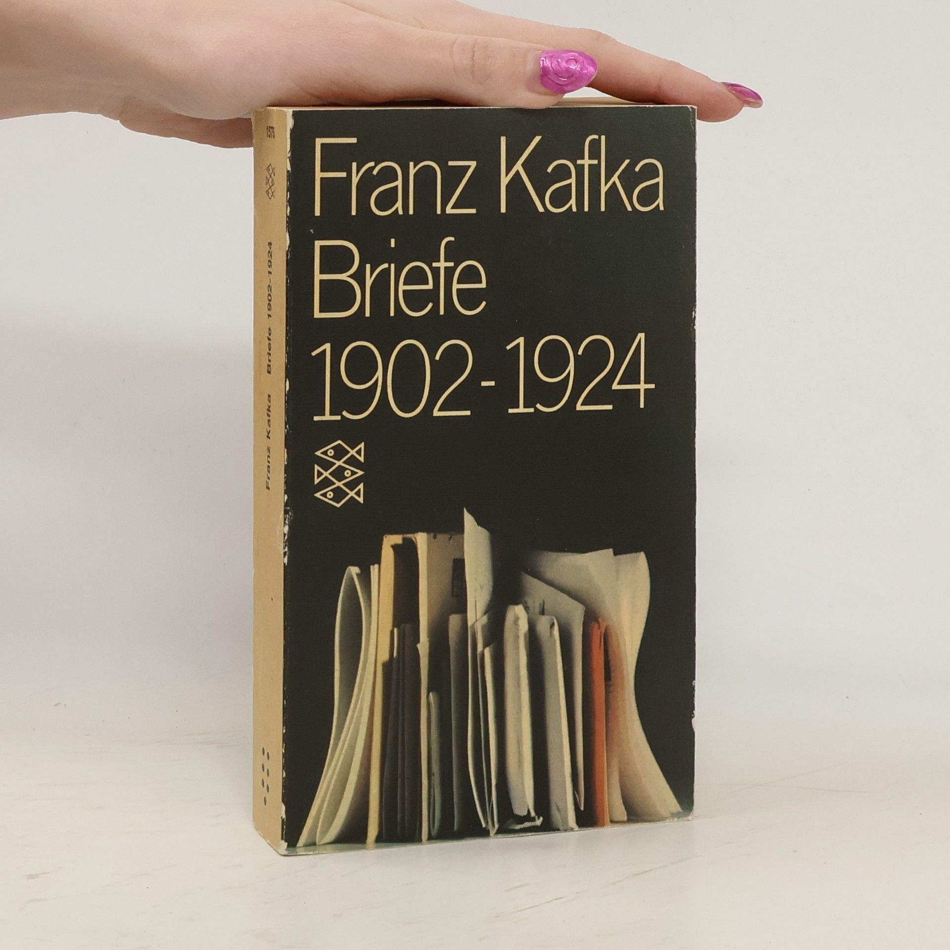 Franz Kafka Briefe 1902 - 1924 [neunzehnhundertzwei bis neunzehnhundertvierundzwanzig]