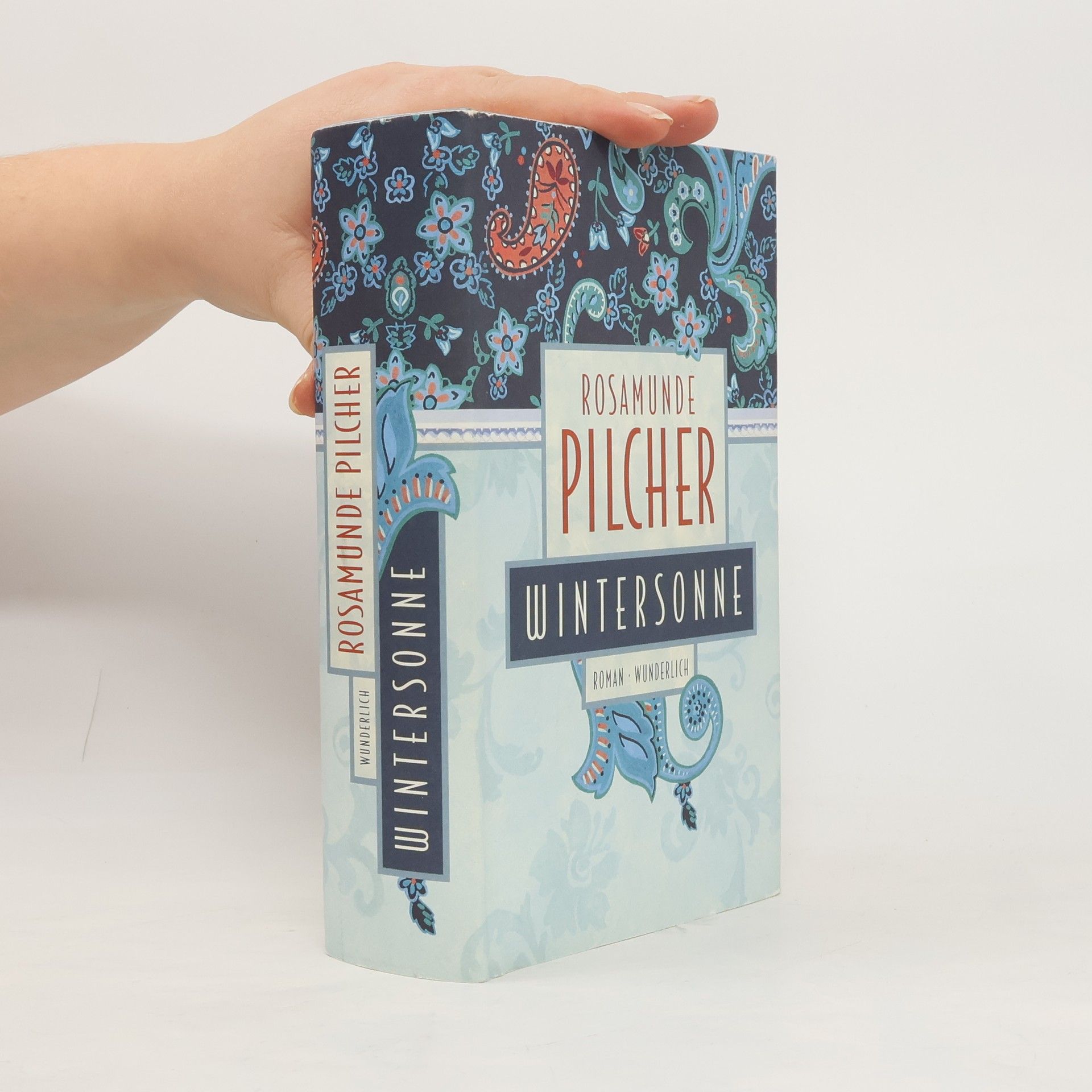 Rosamunde Pilcher Wintersonne