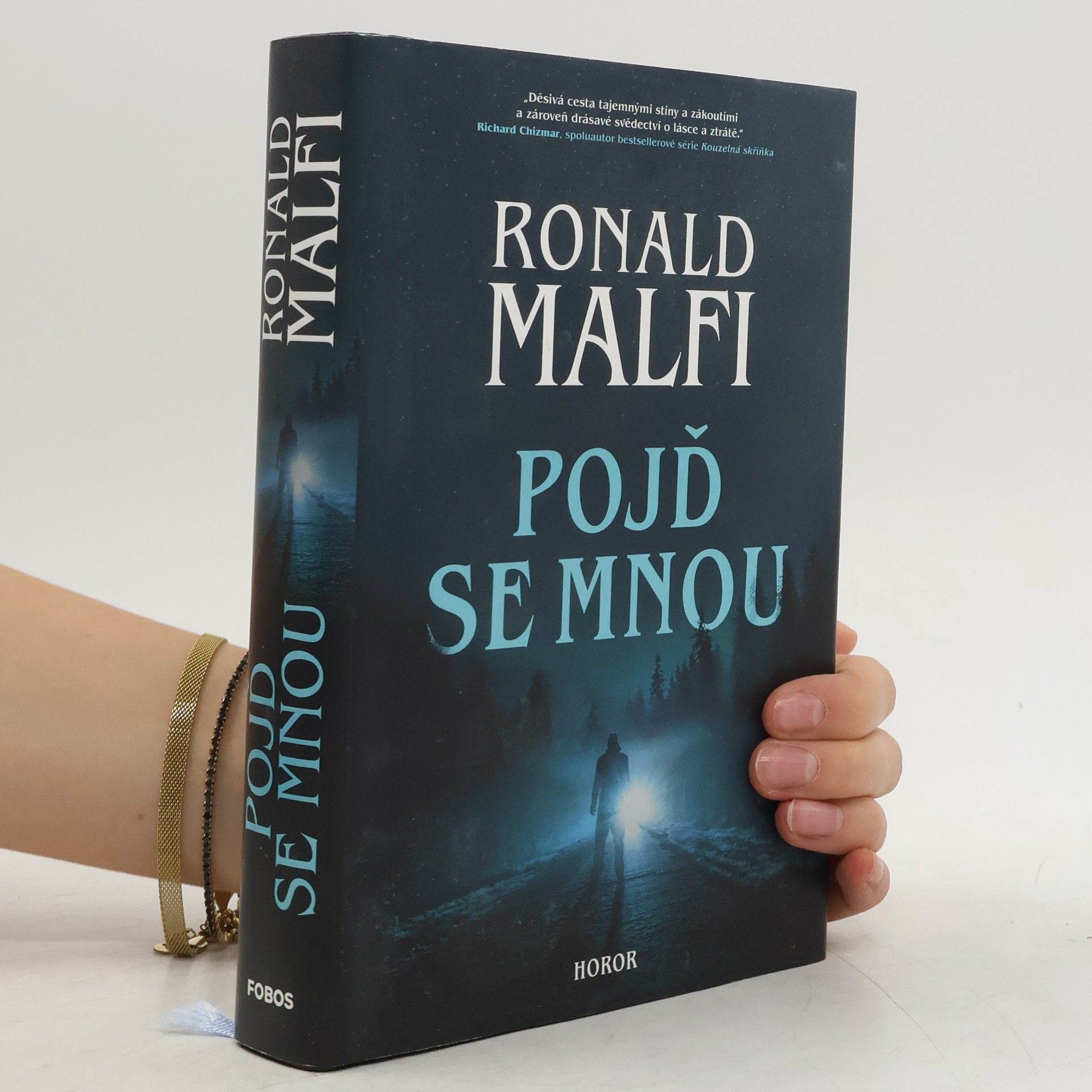 Ronald Malfi Pojď se mnou