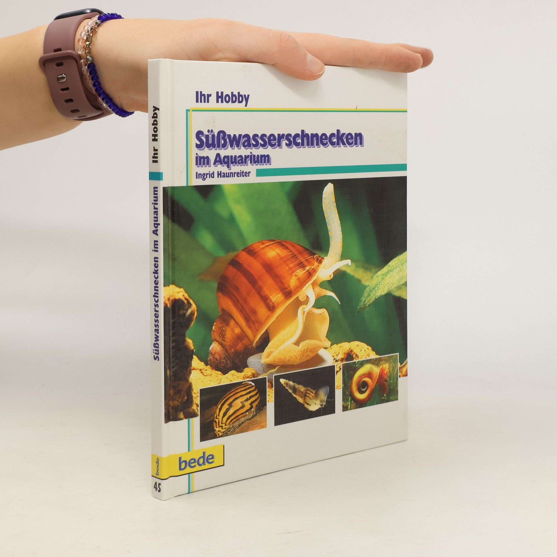 Süßwasserschnecken im Aquarium