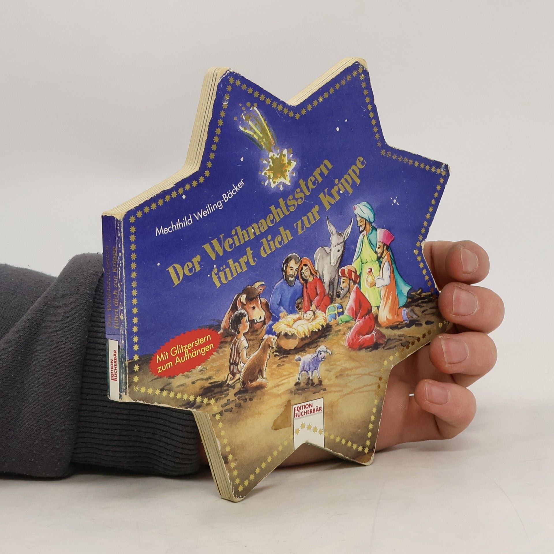 Der Weihnachtsstern führt dich zur Krippe