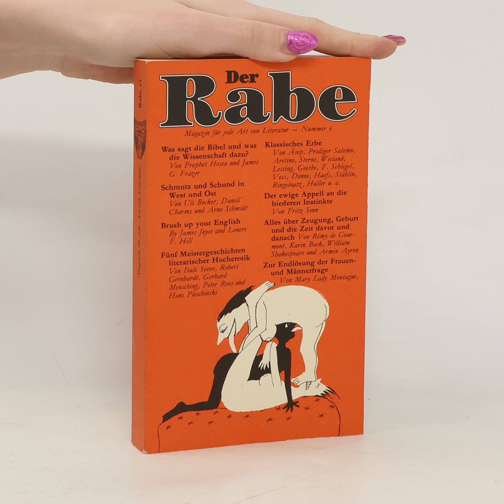 Auteurscollectief Der Rabe VI.