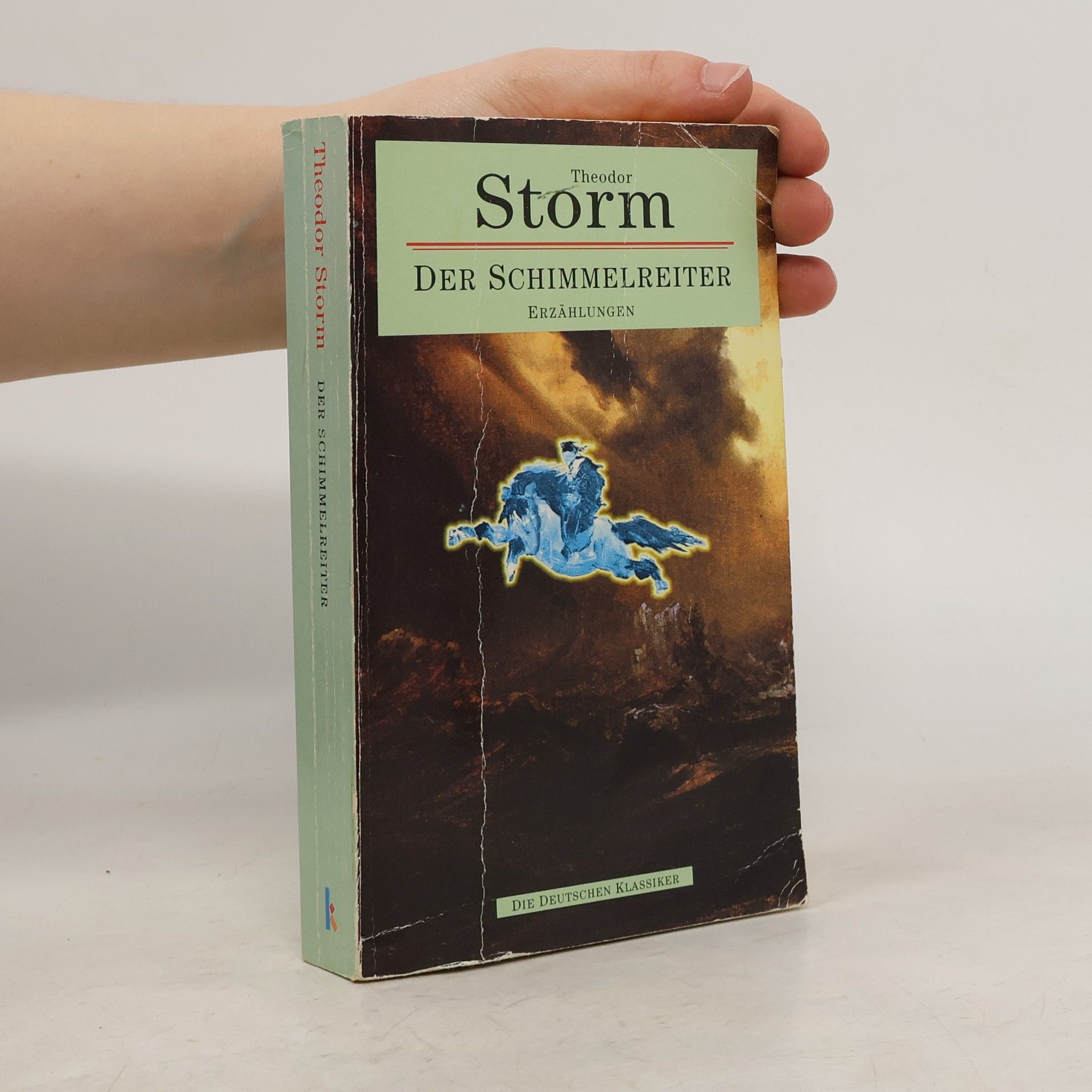 Theodor Storm Der Schimmelreiter. Erzählungen