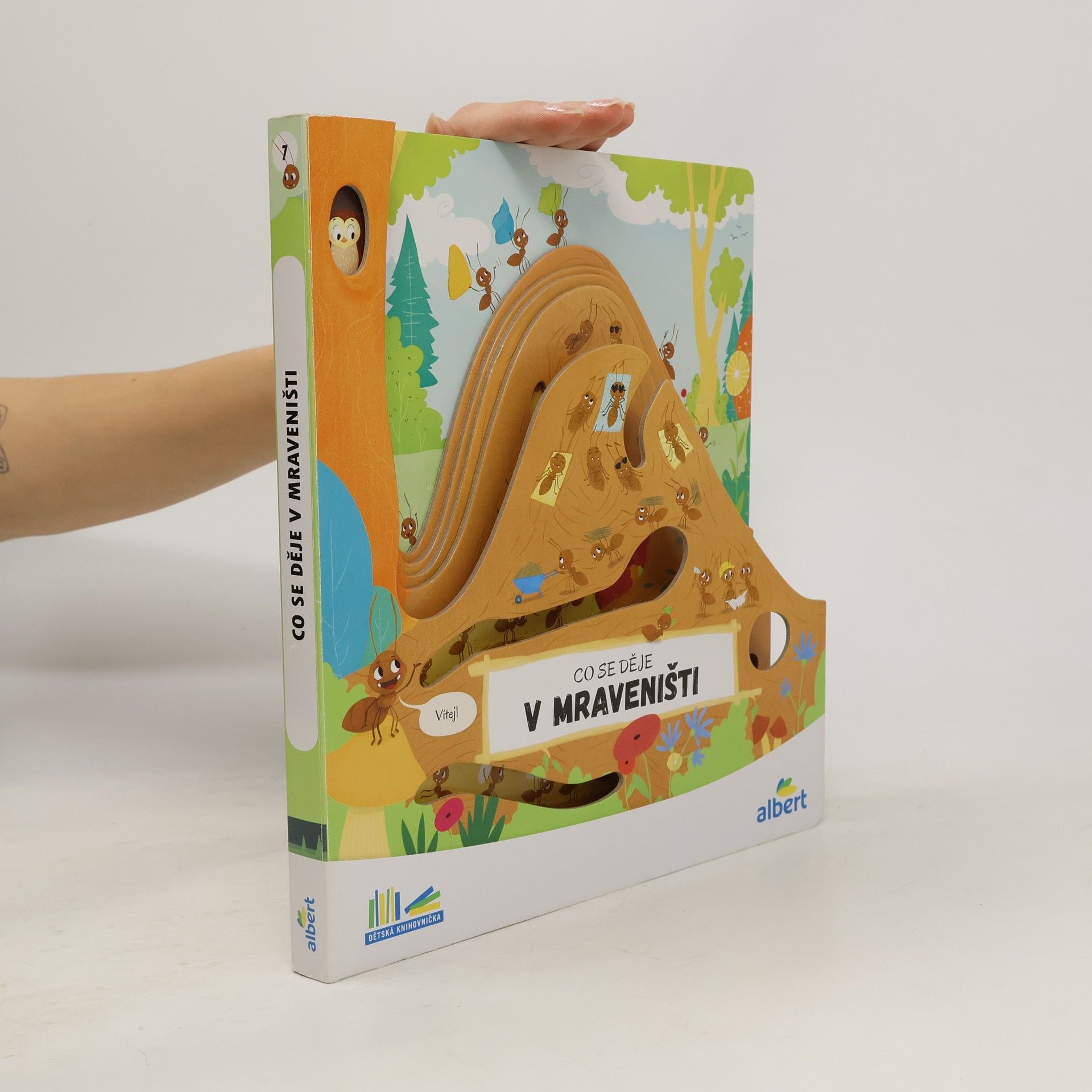 Kolektív autorov Co se děje v mraveništi