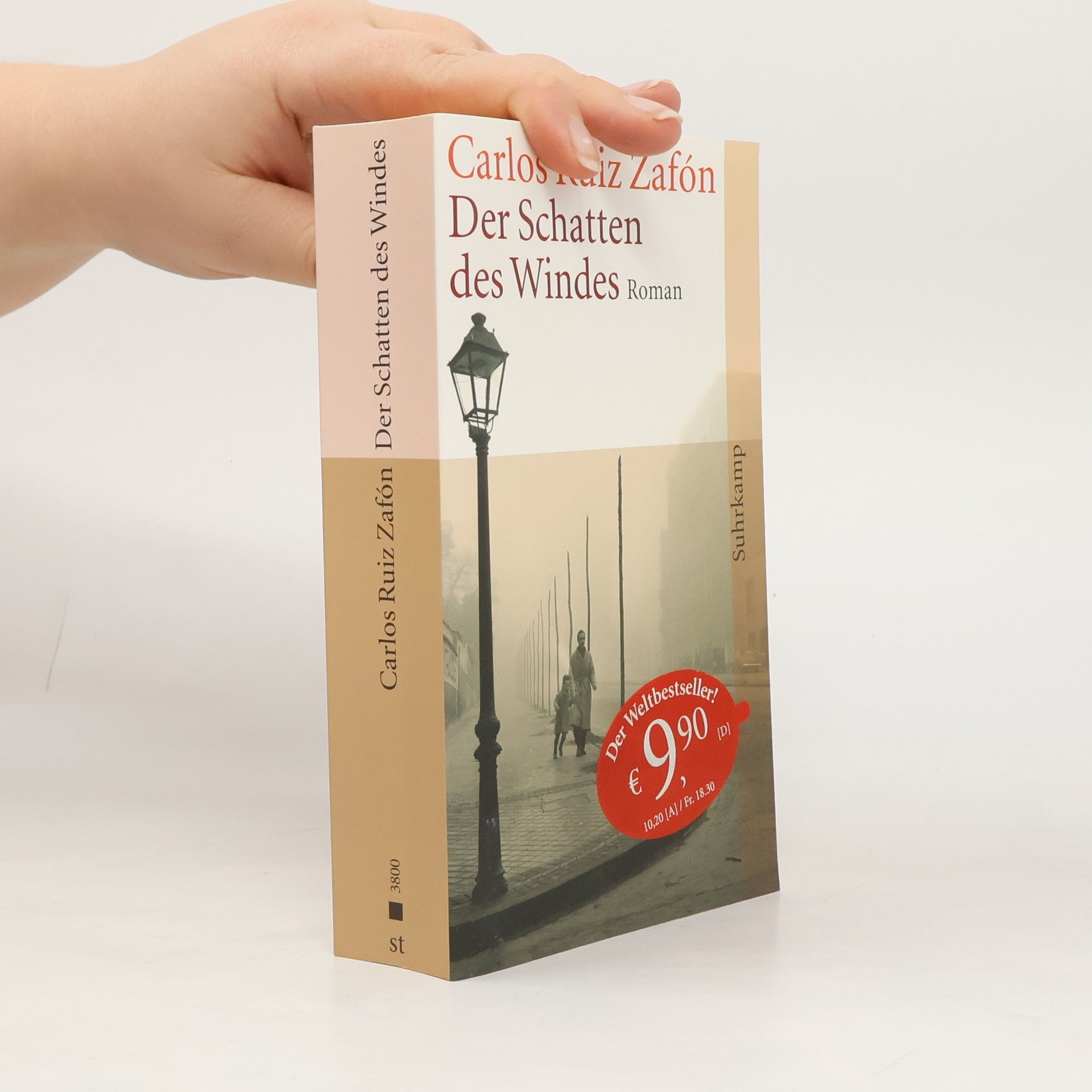 Carlos Ruiz Zafón Der Schatten des Windes