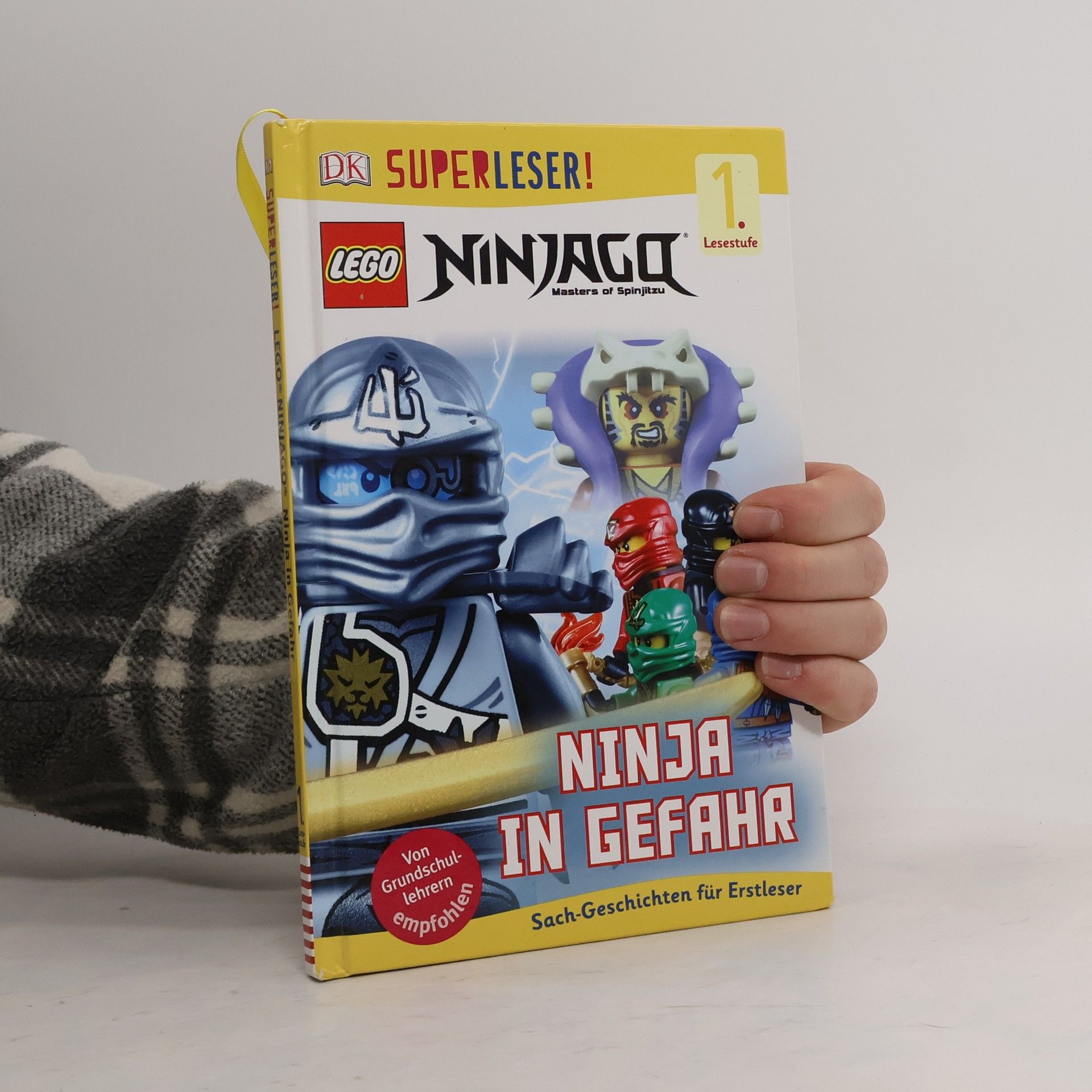 Julia March LEGO Ninjago. Masters of spinjitzu. Ninja in Gefahr