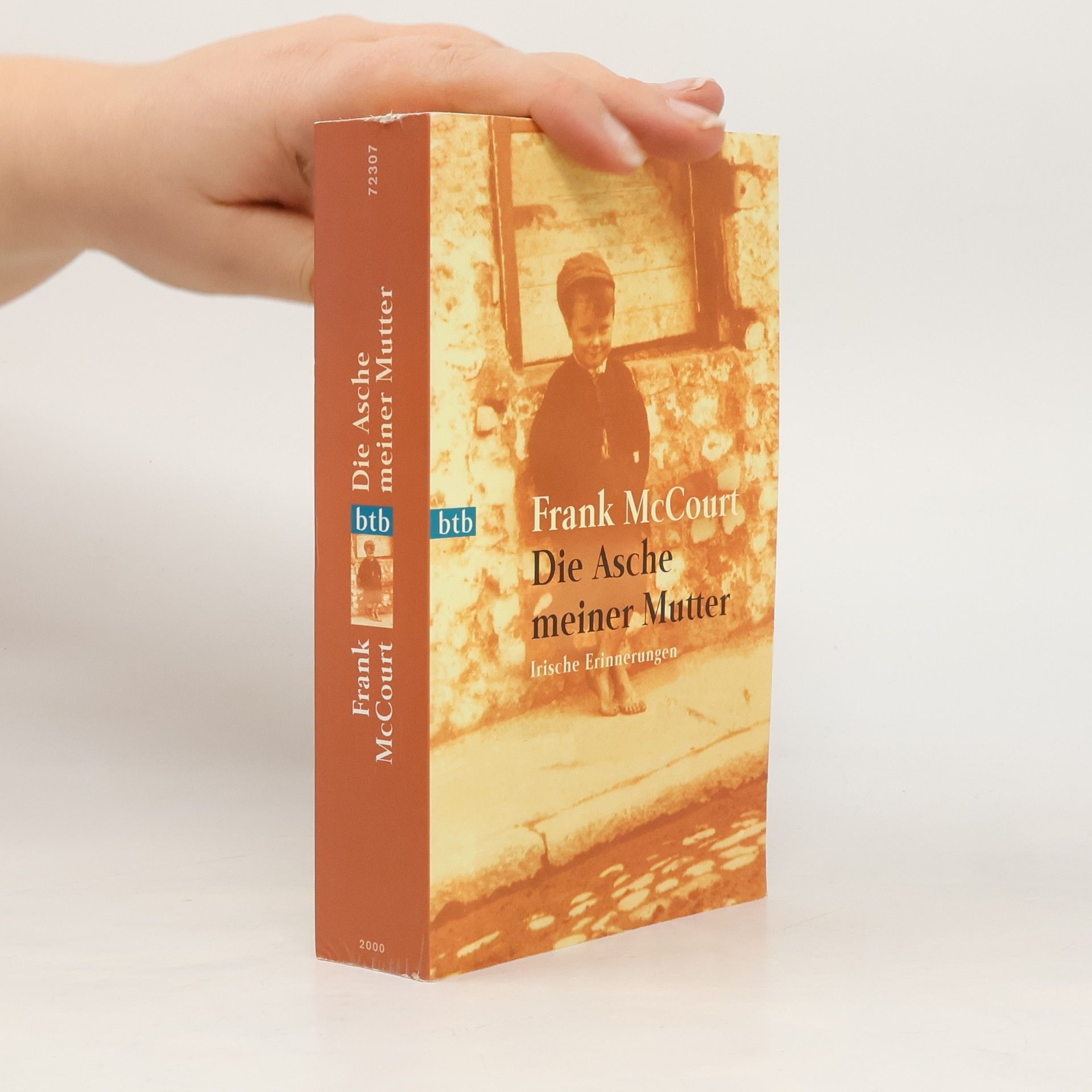 Frank McCourt Die Asche meiner Mutter