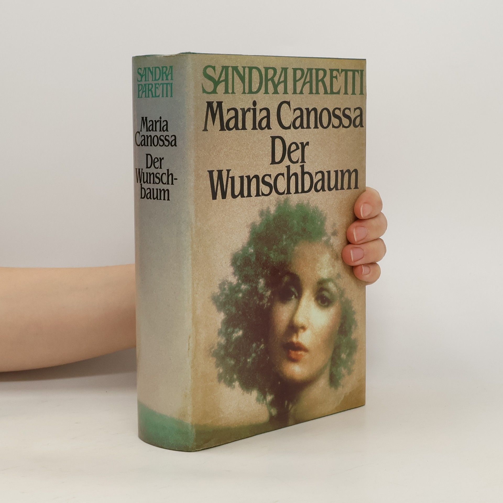 Sandra Paretti Maria Canossa. Der Wunschbaum