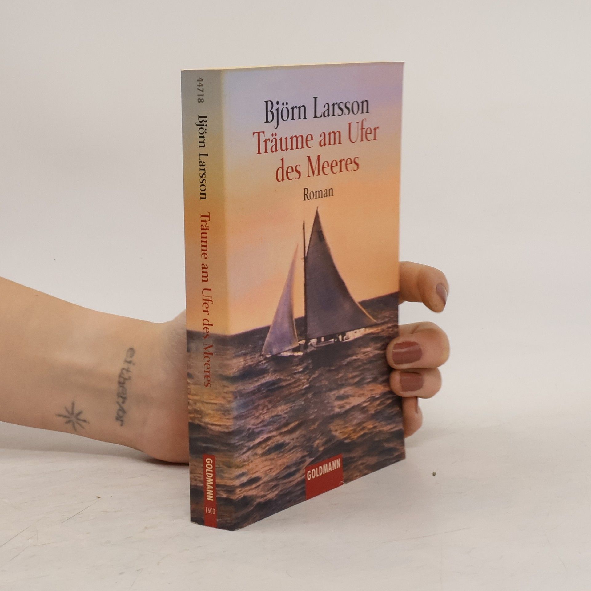 Björn Larsson Träume am Ufer des Meeres