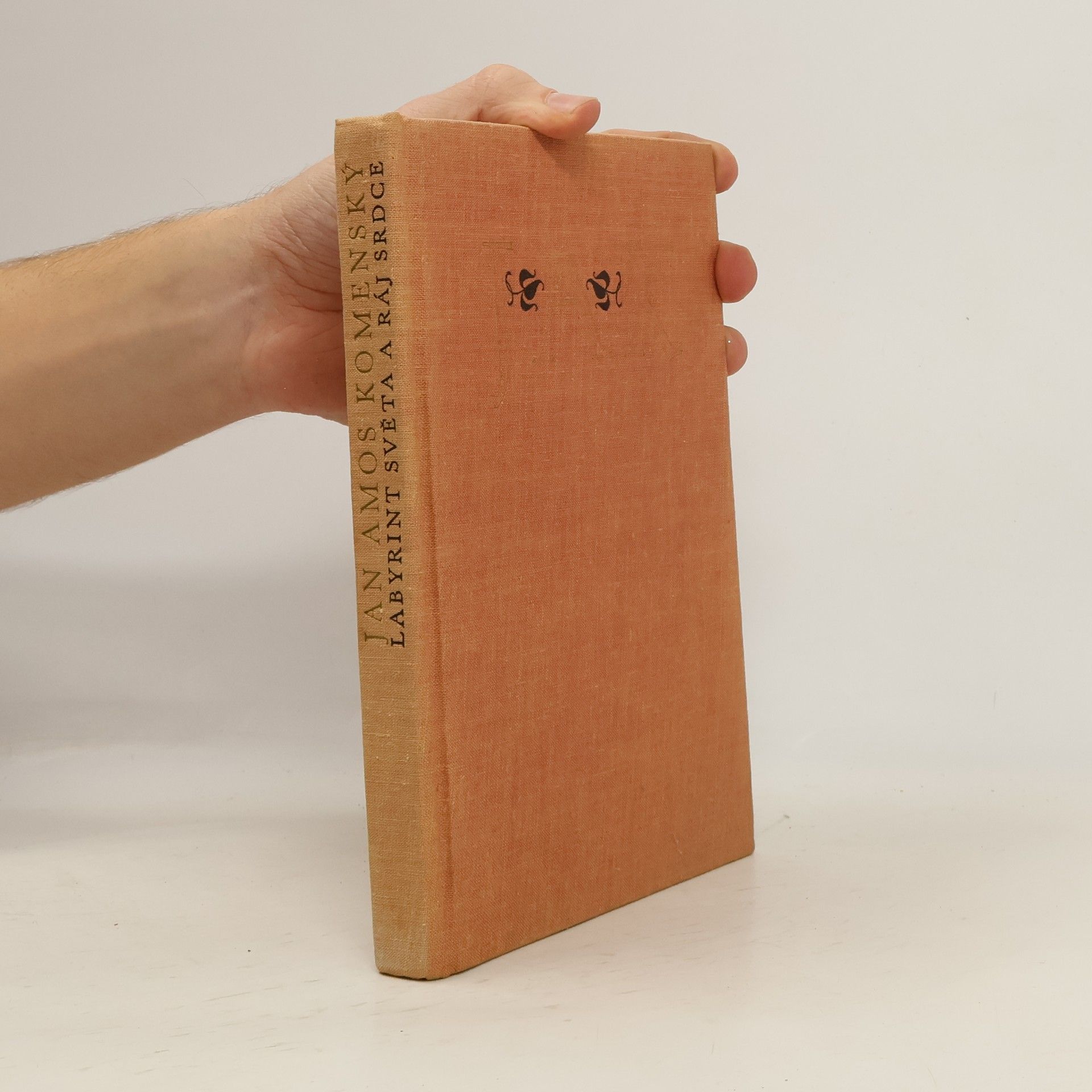 John Amos Comenius Labyrint světa a ráj srdce