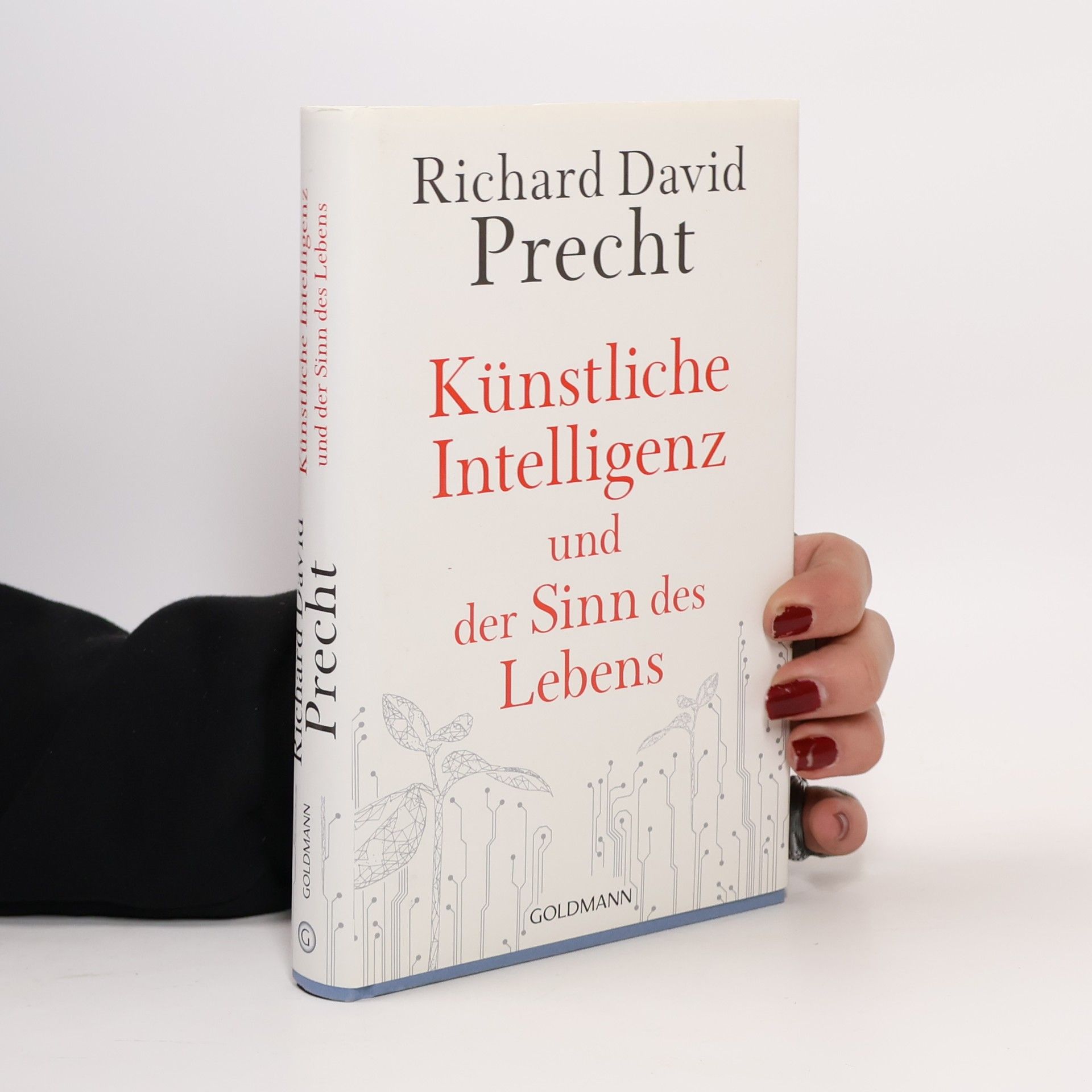 Künstliche Intelligenz und der Sinn des Lebens