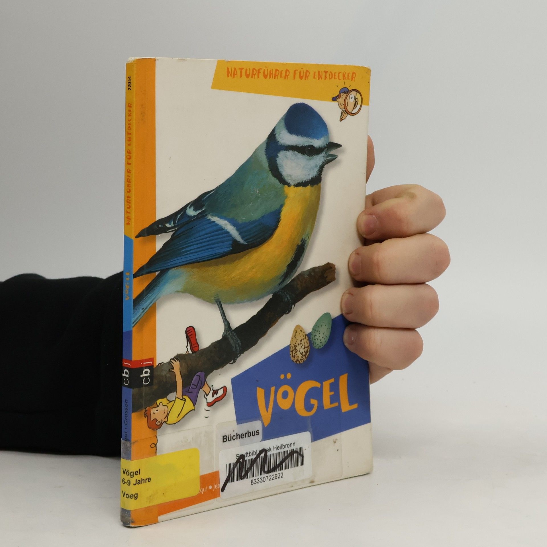 Naturführer für Entdecker: Vögel