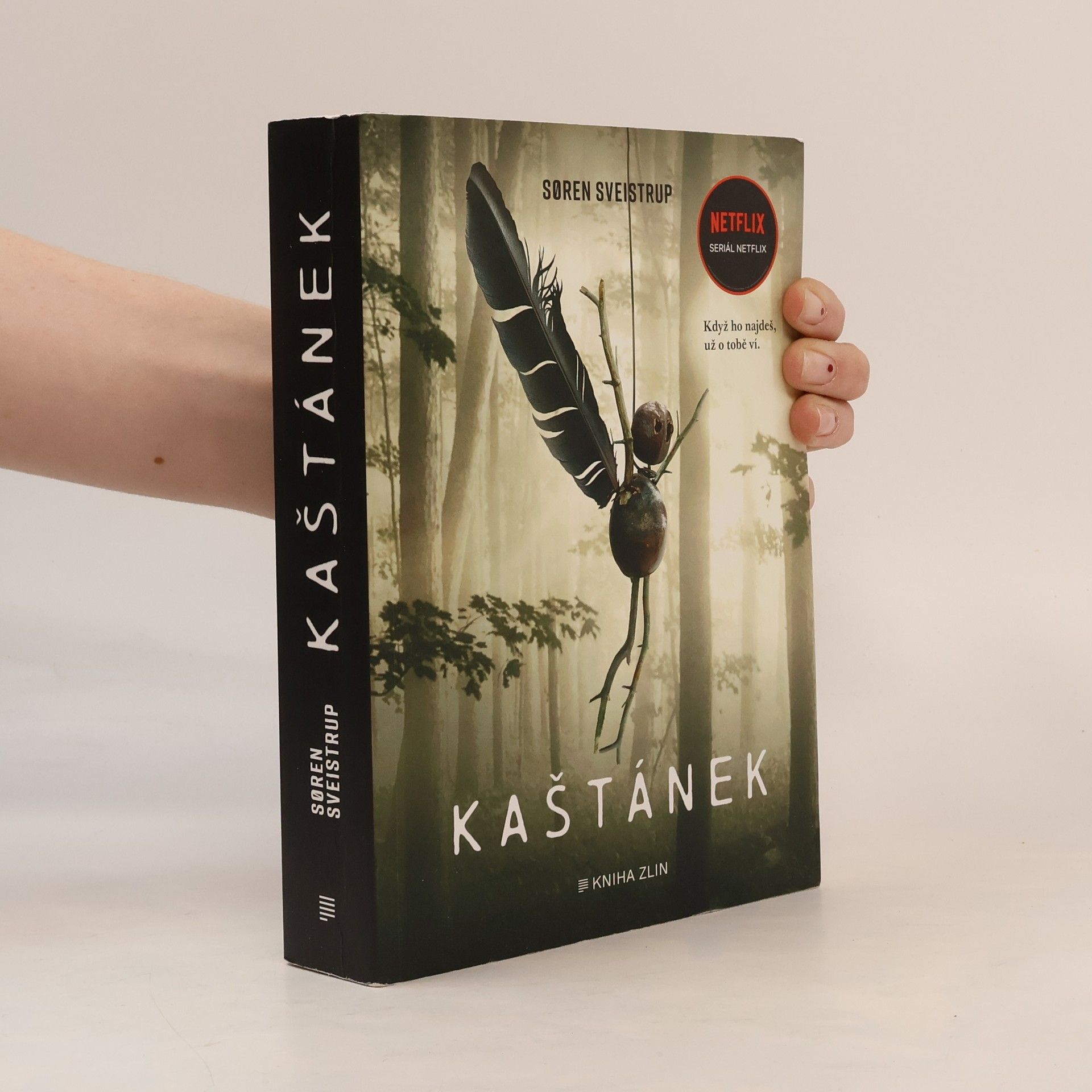 Søren Sveistrup Kaštánek