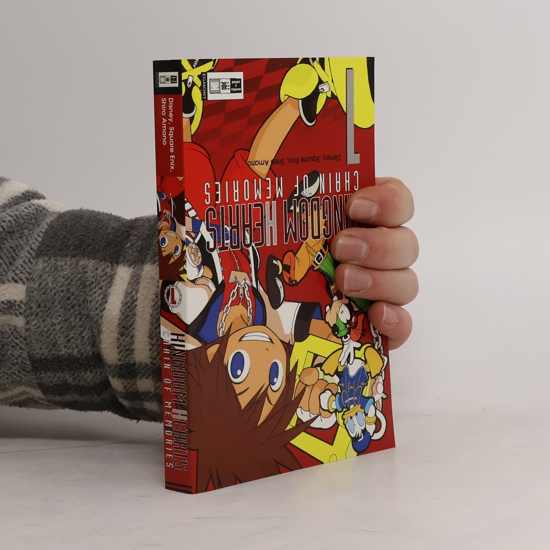 Autorenkollektiv Kingdom hearts