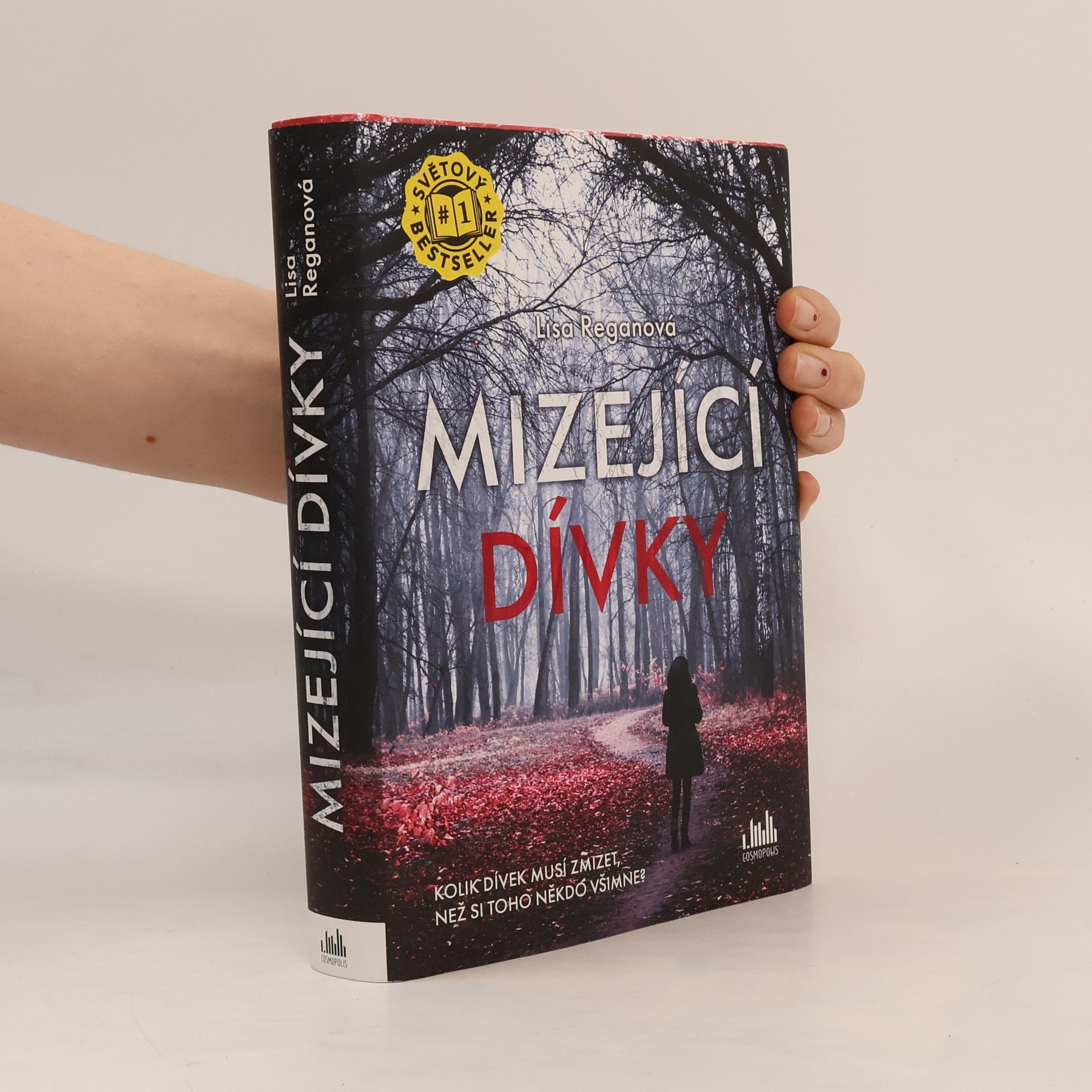 Lisa Regan Mizející dívky