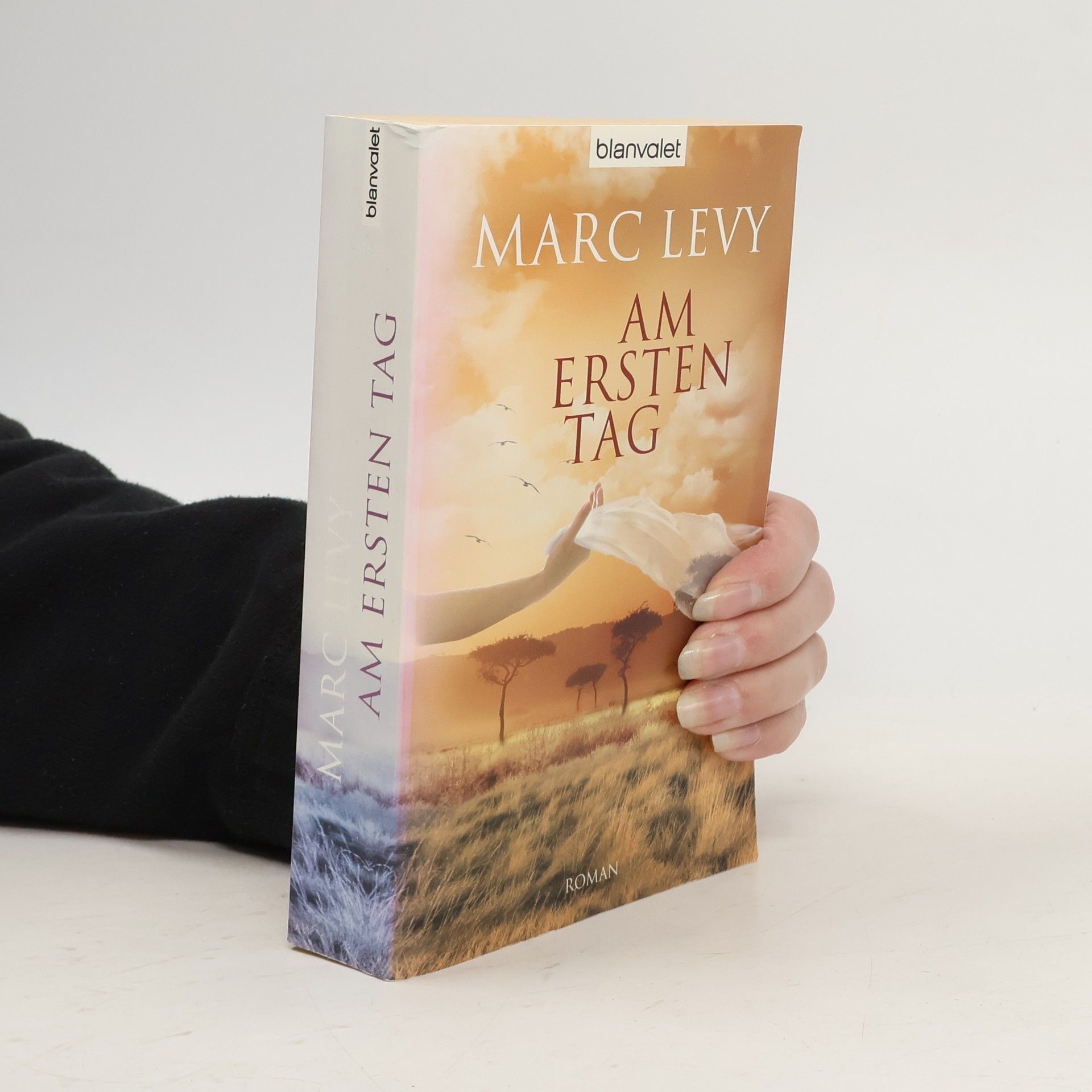 Marc Lévy Am ersten Tag