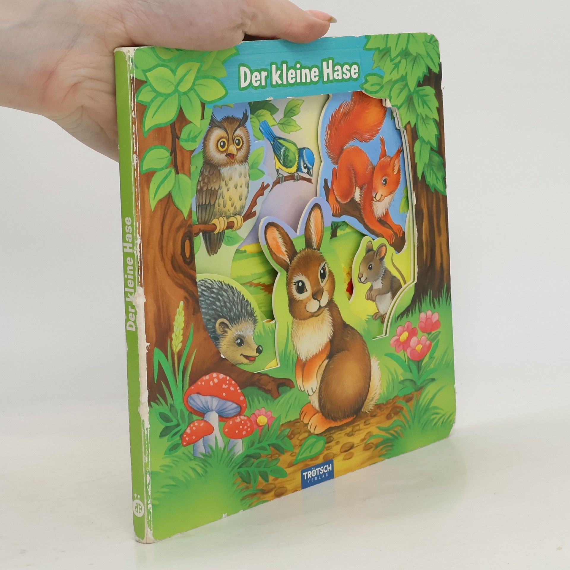 Autorenkollektiv Trötsch Der Kleine Hase Fensterbuch. Entdeckerbuch Beschäftigungsbuch Spielbuch