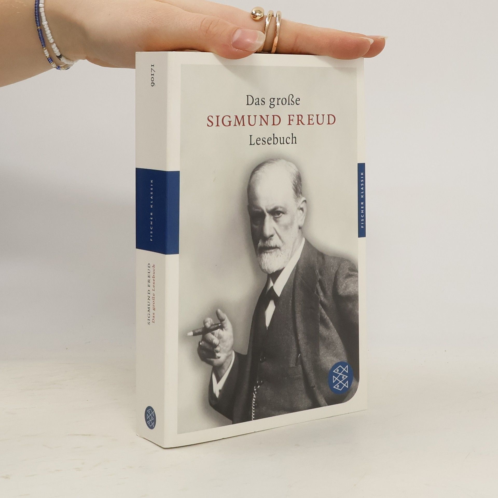 Sigmund Freud Das große Lesebuch