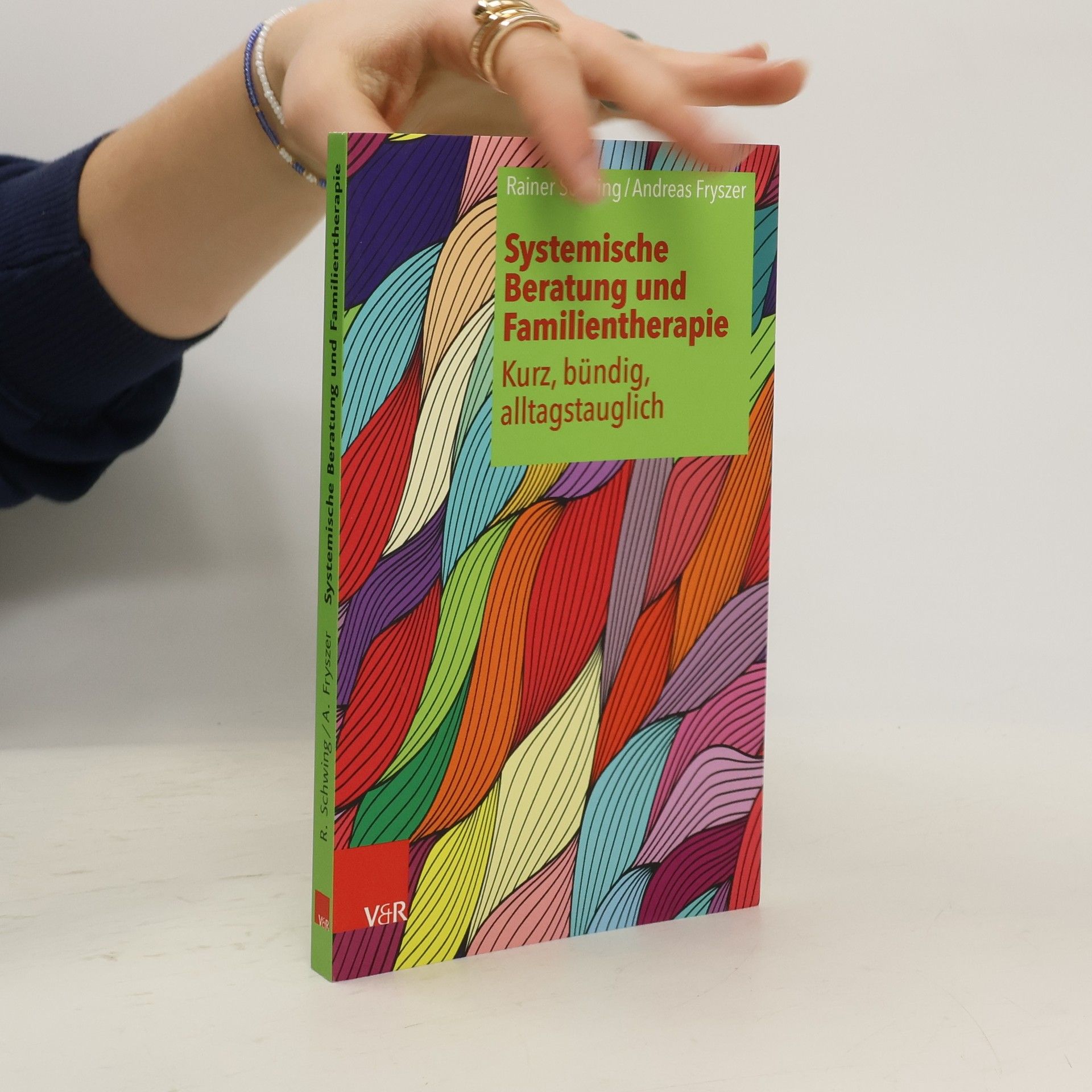 Systemische Beratung und Familientherapie – kurz, bündig, alltagstauglich