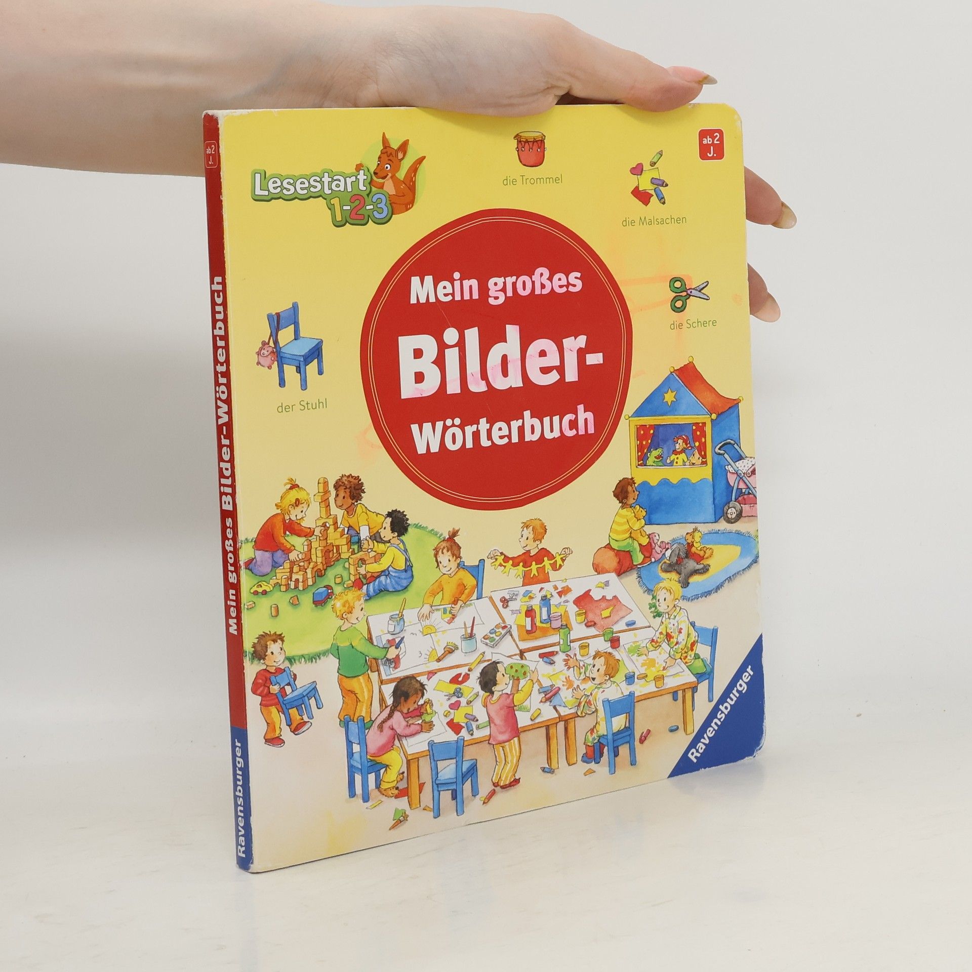 Autores varios Mein großes Bilder- Wörterbuch