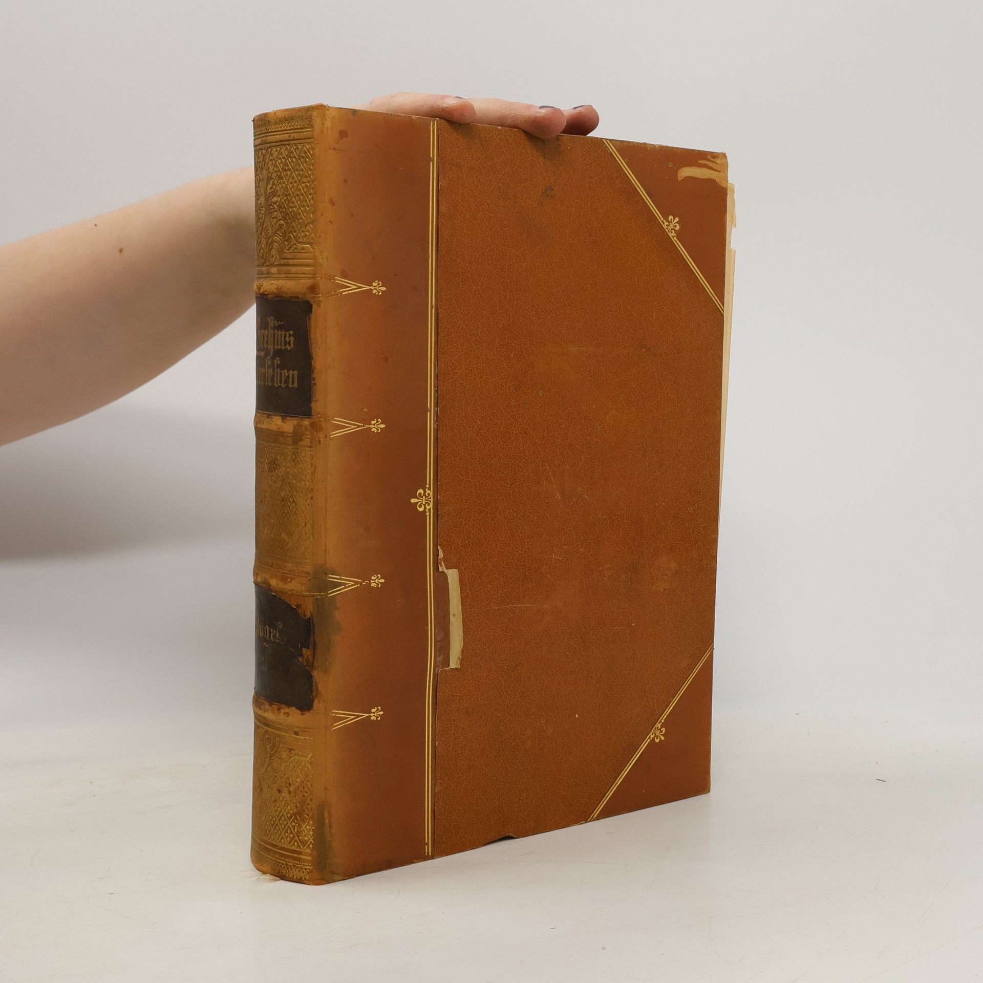 Alfred Edmund Brehm Brehms Tierleben 1. Die Vögel