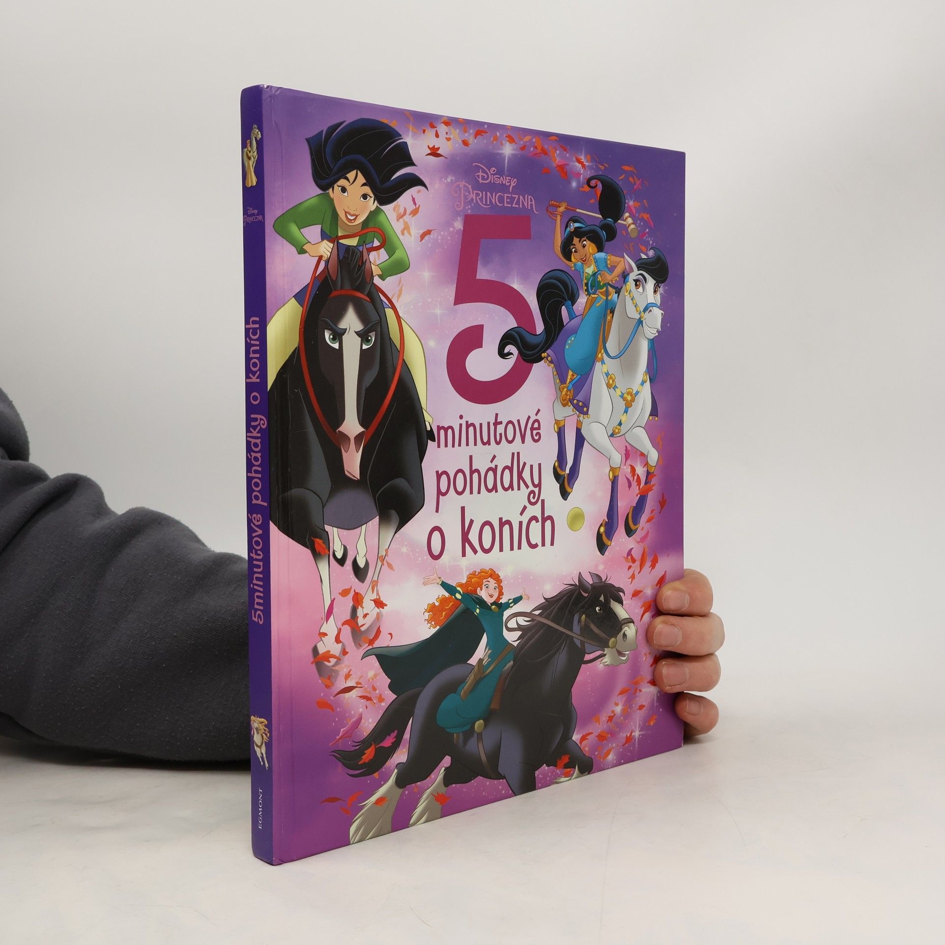 Autorenkollektiv 5minutové pohádky o koních