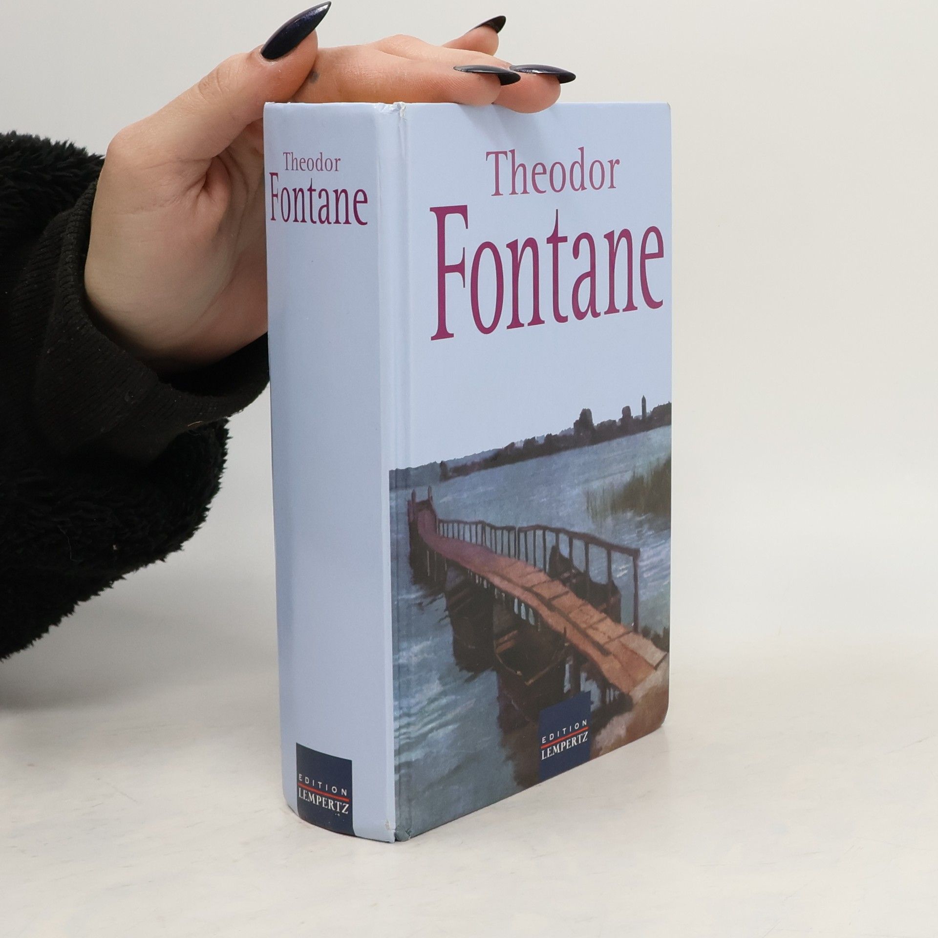 Theodor Fontane Balladen und Erzählungen