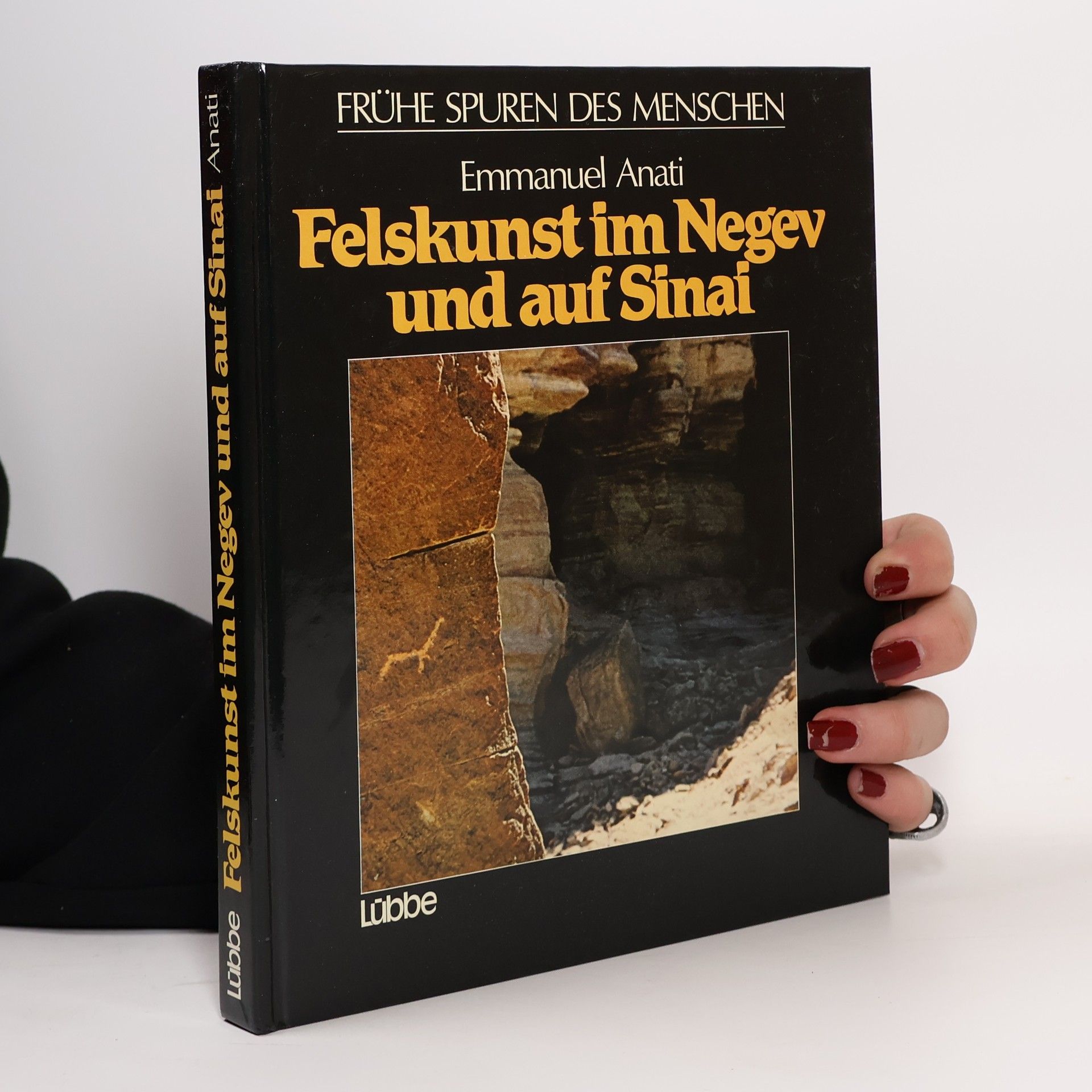 Emmanuel Anati Felskunst im Negev und auf Sinai