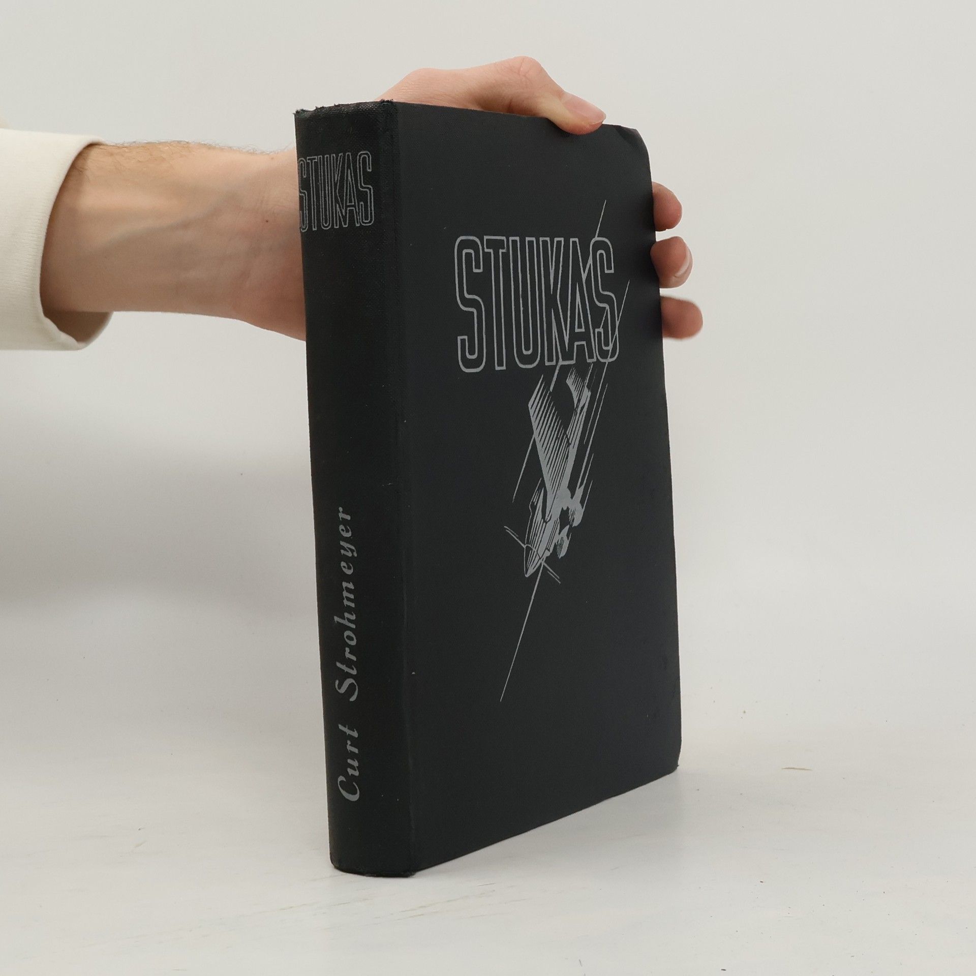 Stukas! Erlebnis eines Fliegerkorps