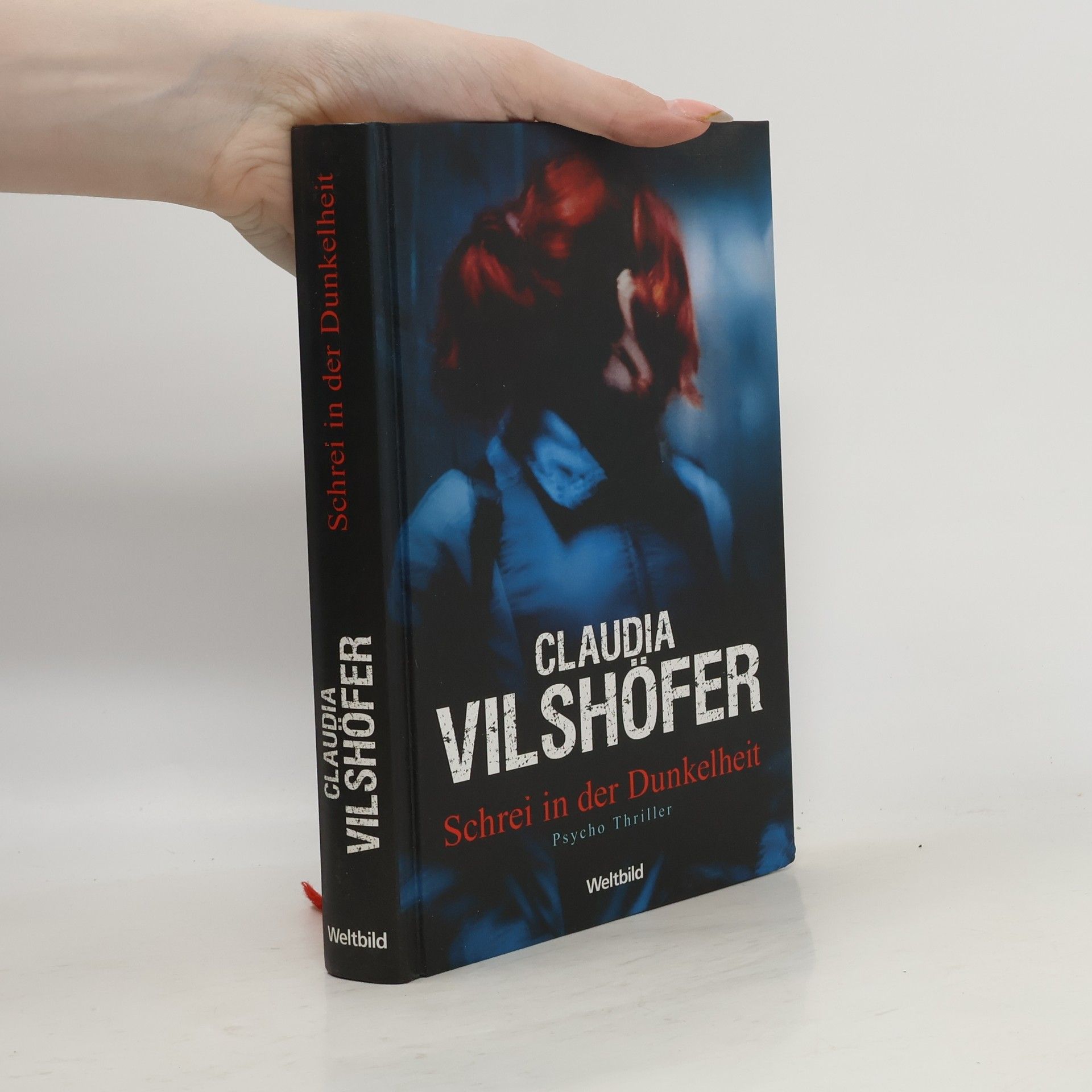 Claudia Vilshöfer Schrei in der Dunkelheit