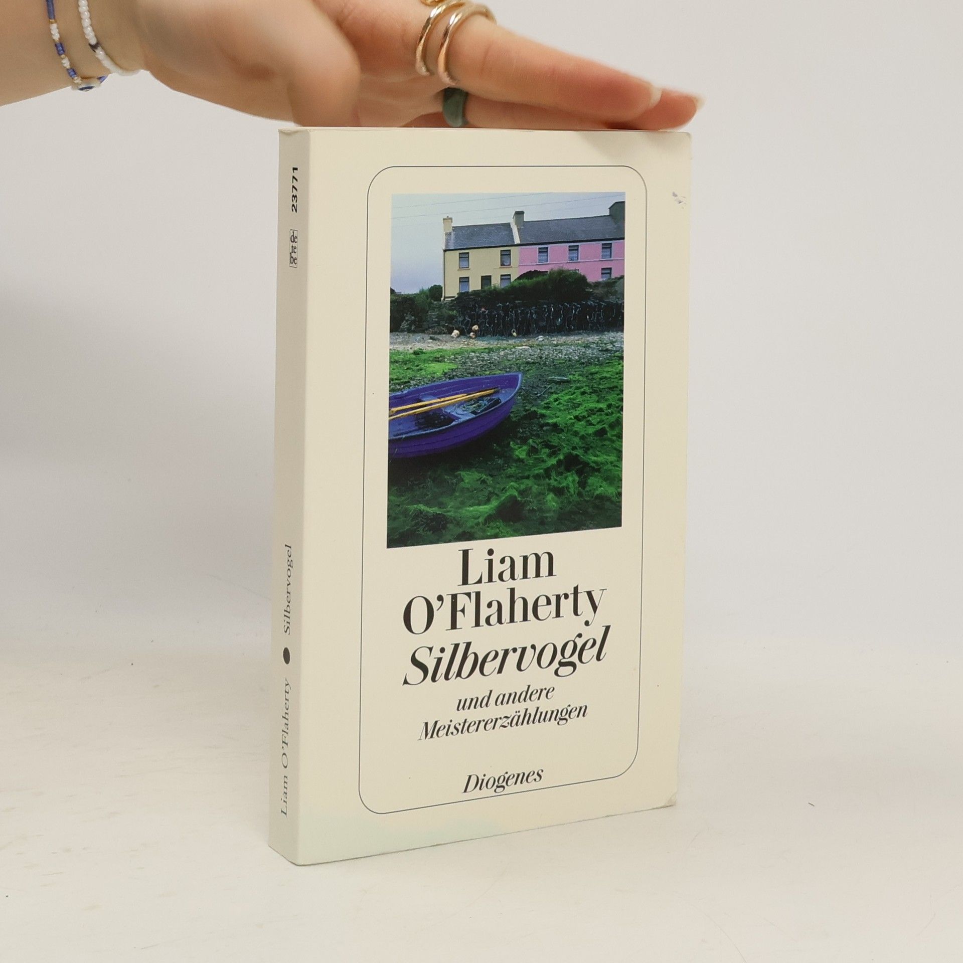 Liam O. Flaherty Silbervogel und andere Meistererzählungen