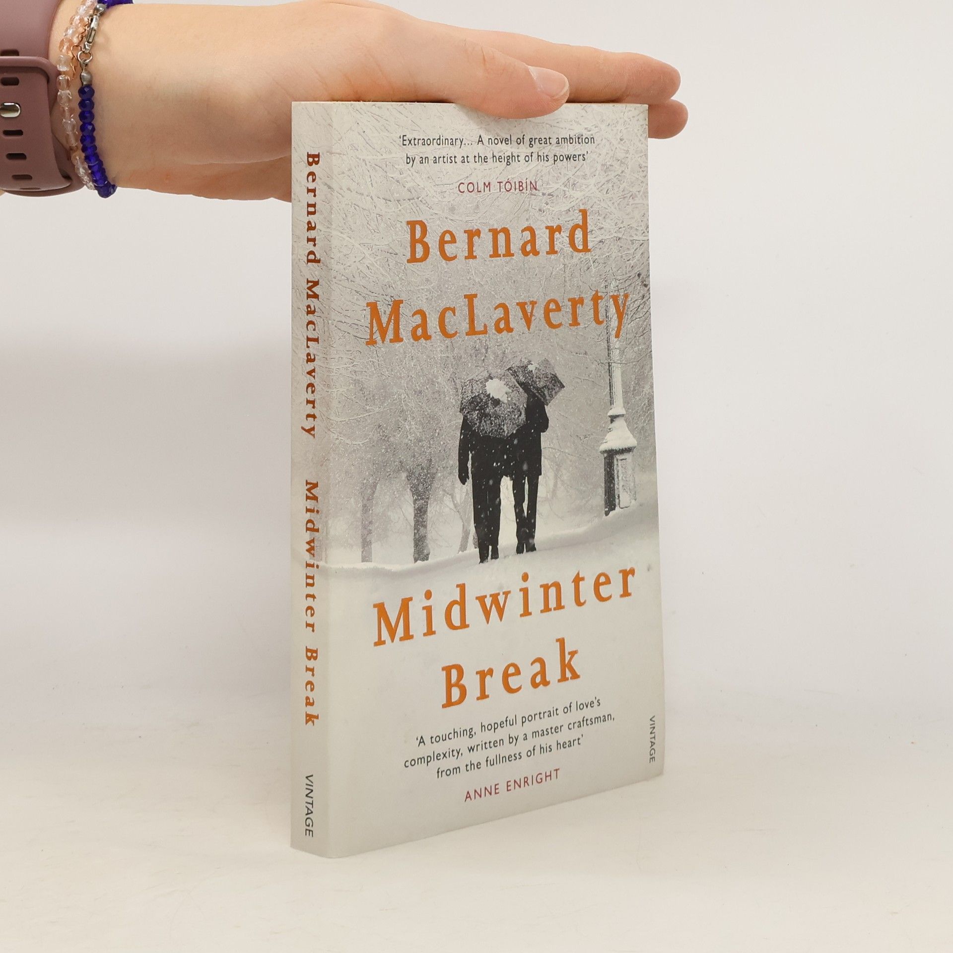 Bernard Mac Laverty Midwinter Break