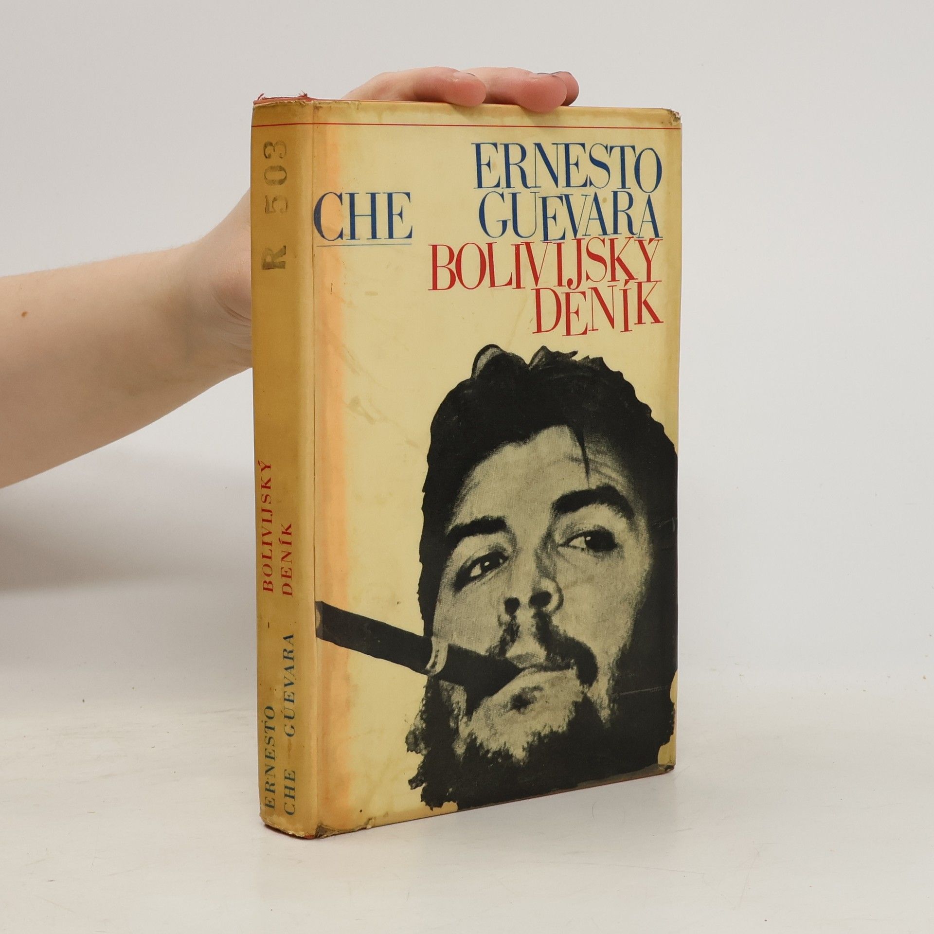 Ernesto Che Guevara Bolivijský deník