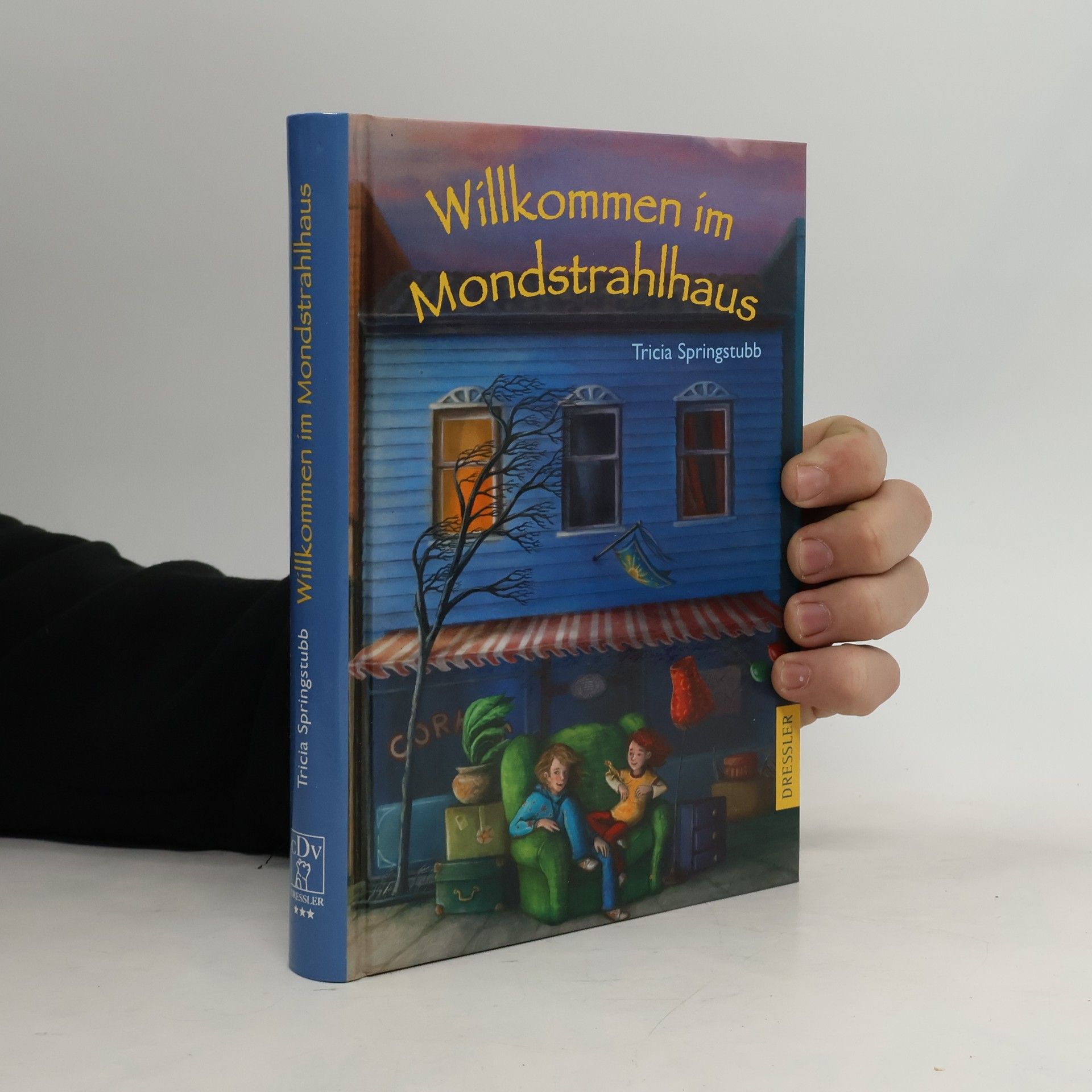 Tricia Springstubb Willkommen im Mondstrahlhaus
