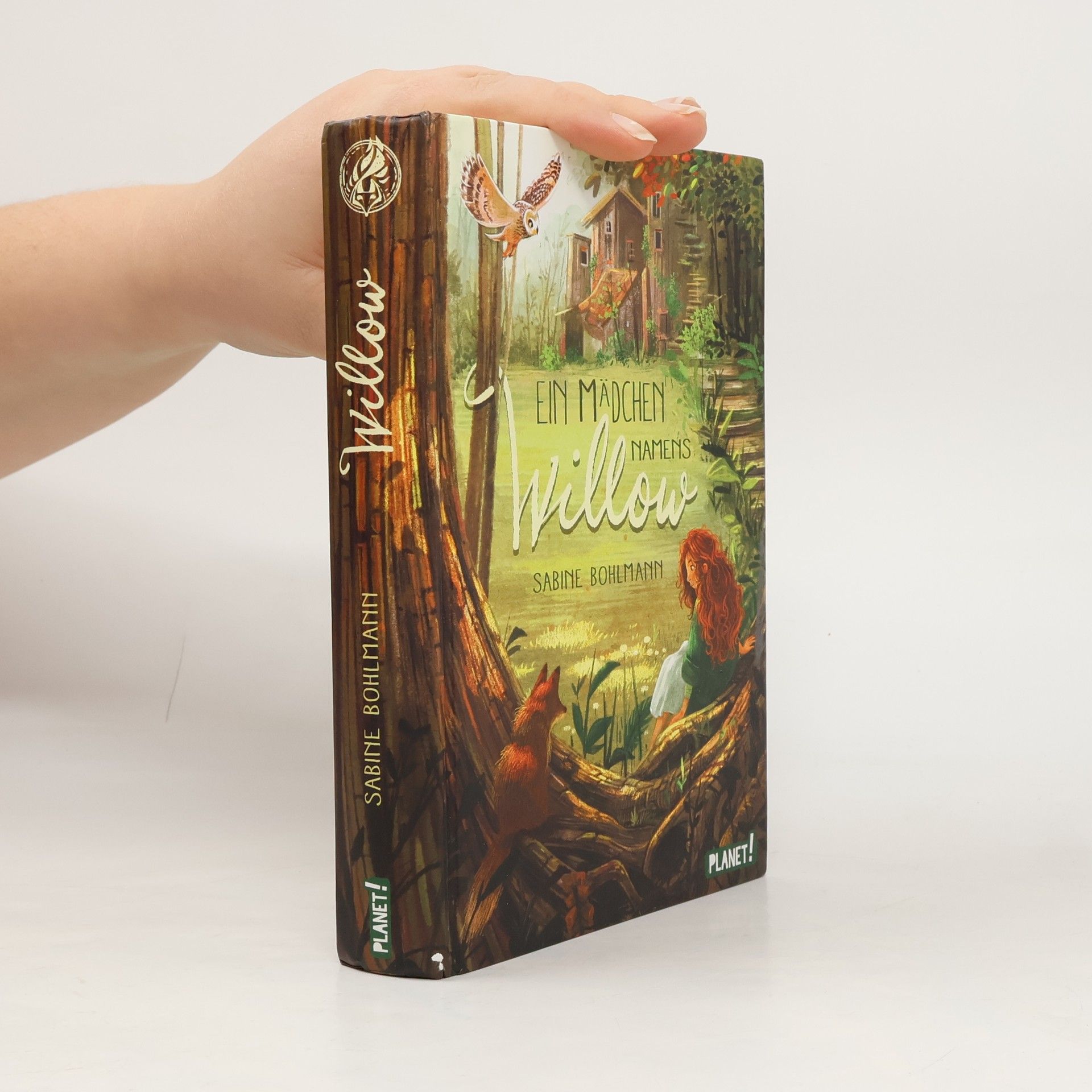 Sabine Bohlmann Ein Mädchen namens Willow