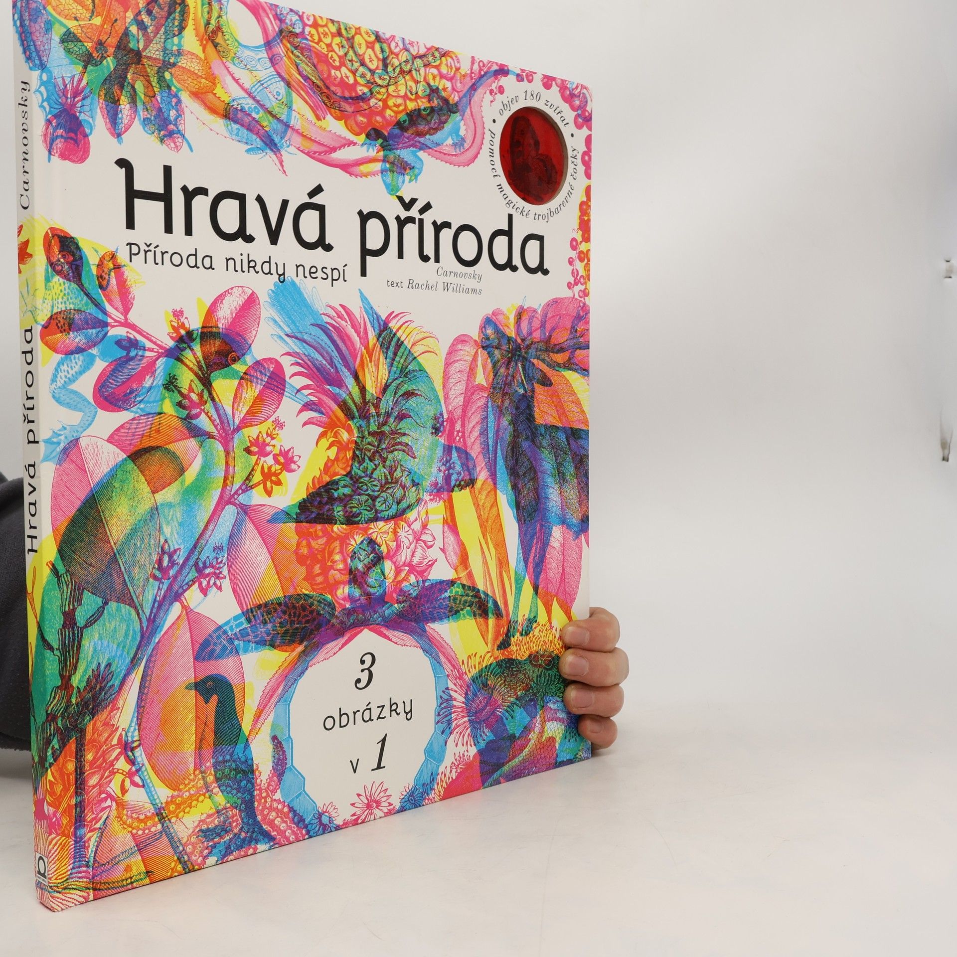 Hravá příroda - Příroda nikdy nespí