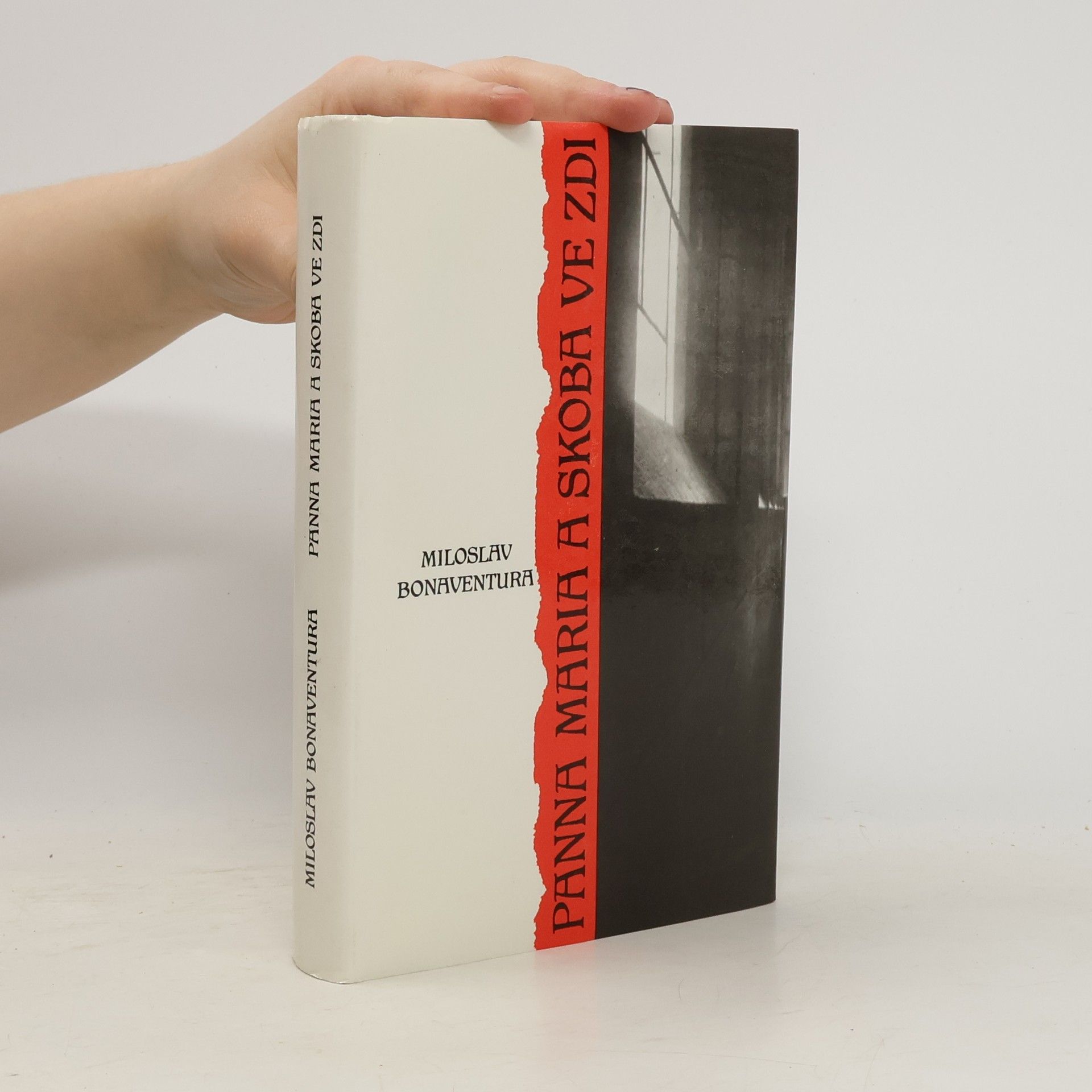 Panna Maria a skoba ve zdi