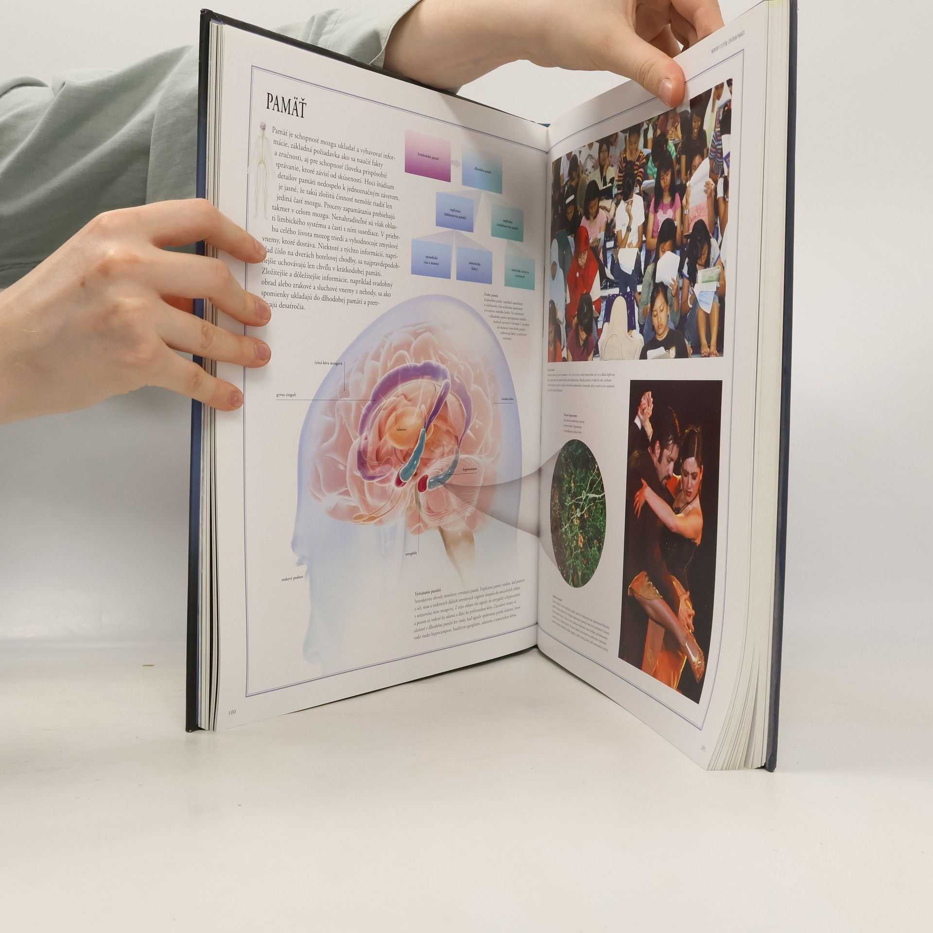 Beverly McMillan Veľký ilustrovaný atlas ľudského tela