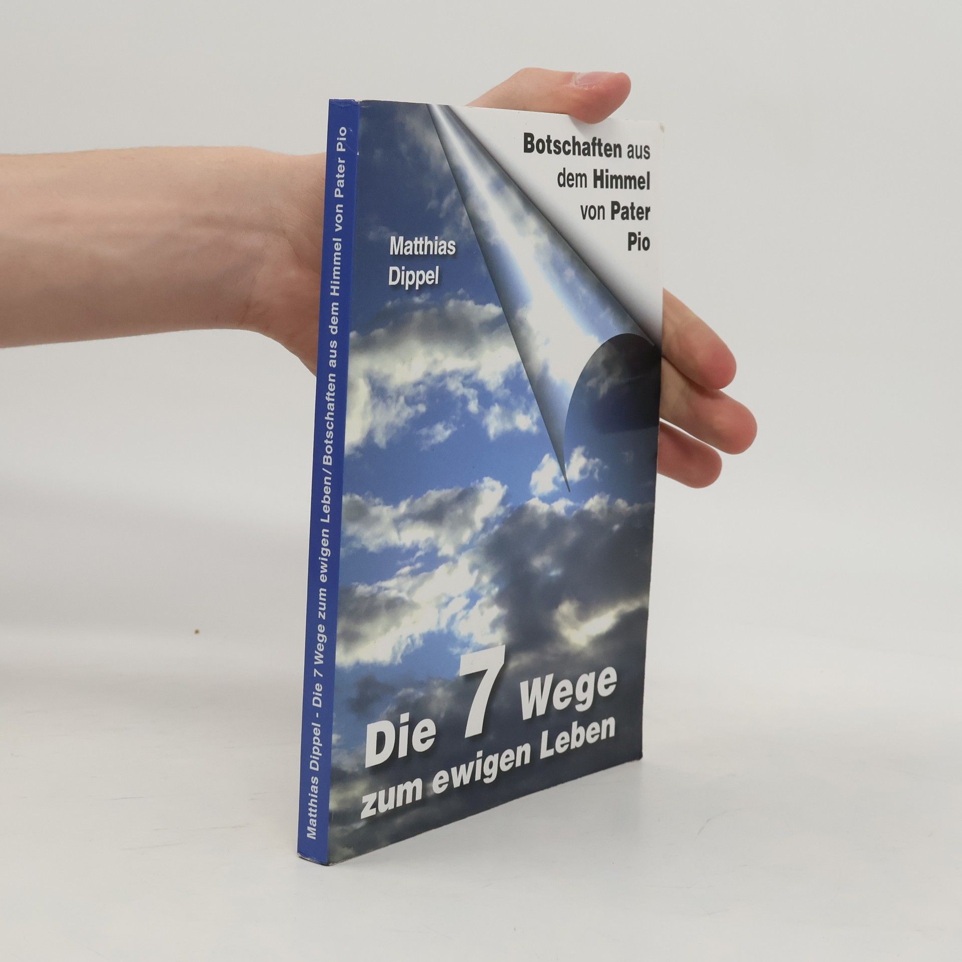 Matthias Dippel Die 7 Wege zum ewigen Leben