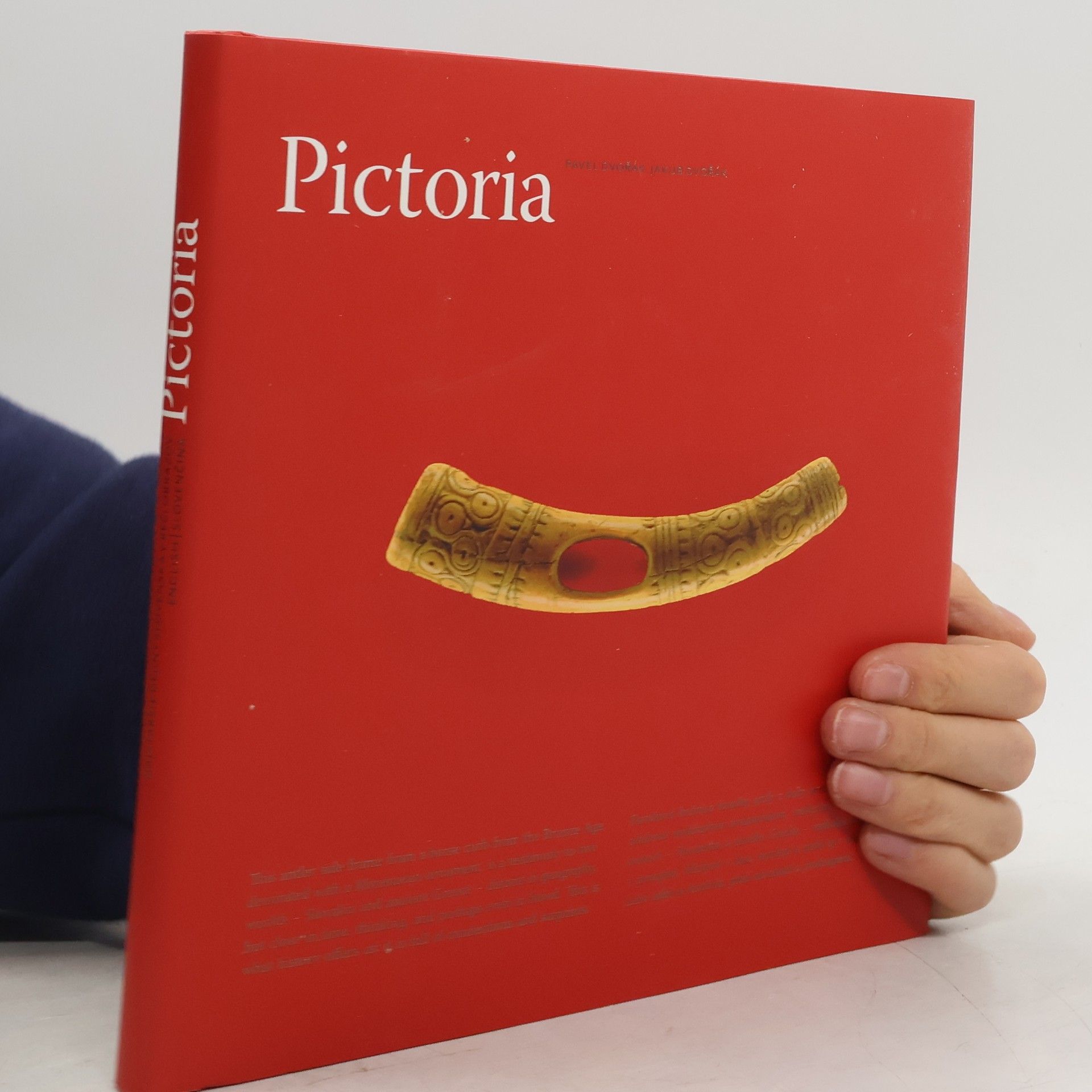 Pavel Dvořák Pictoria