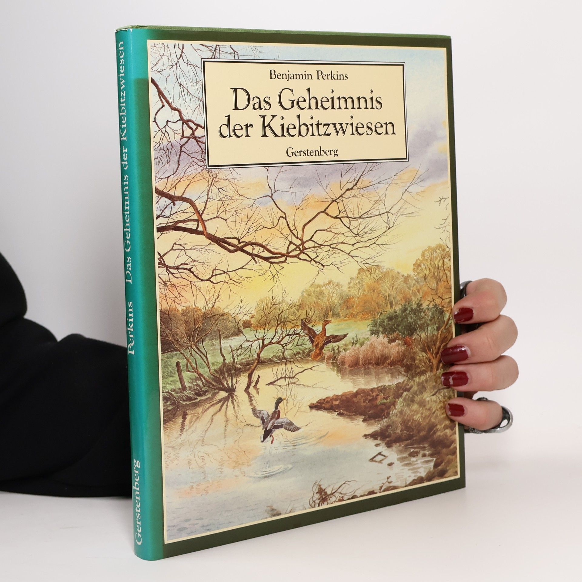 Benjamin Perkins Das Geheimnis der Kiebitzwiesen