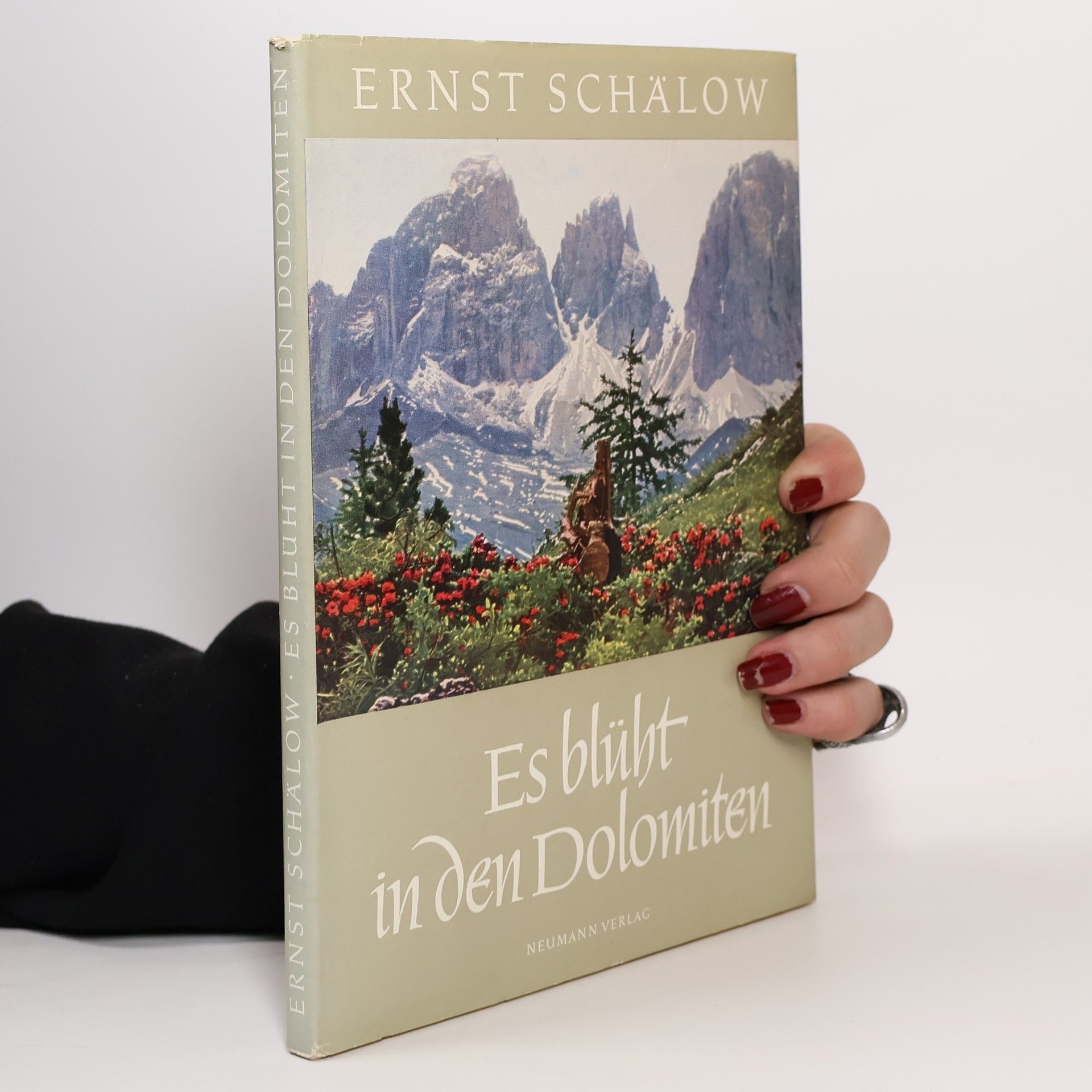 Ernst Schälow Es blüht in den Dolomiten