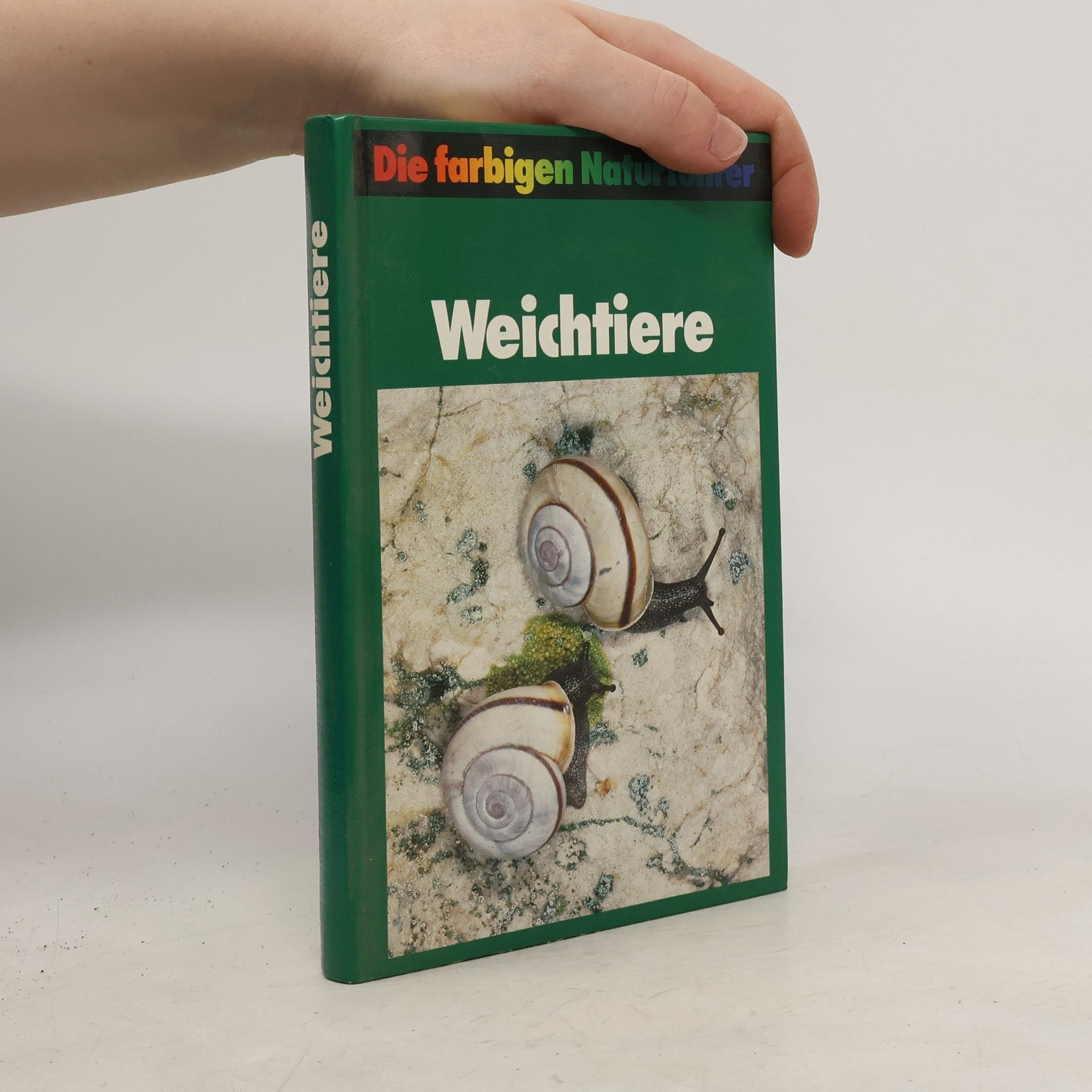 Autores varios Die farbigen Naturführer. Weichtiere